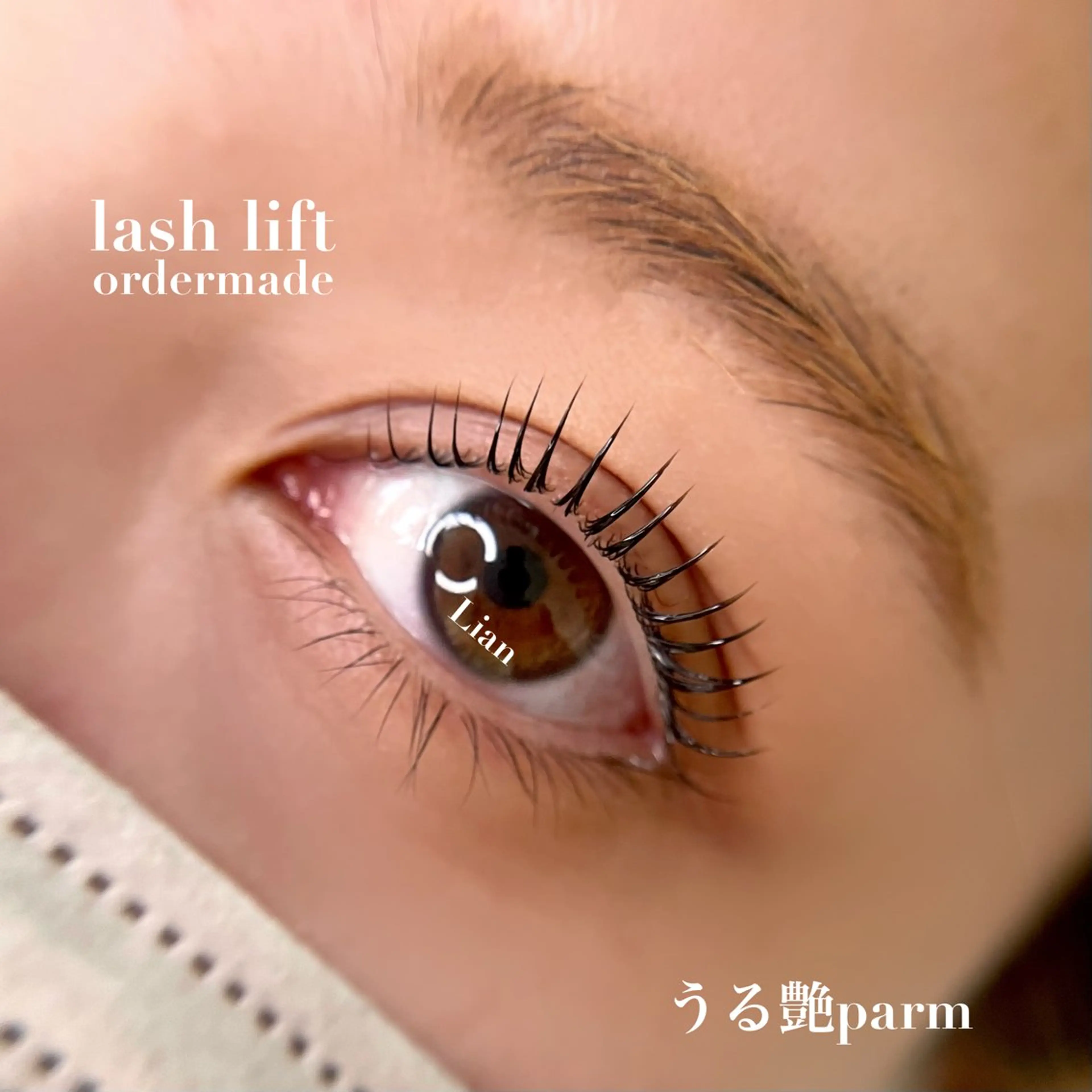 ãããšã¯ã»ããã ããã Lianæå±ã»ãðð¢ðð§ã ðð¢ðšã®ãããšã¯ã»ããããã¶ã€ã³