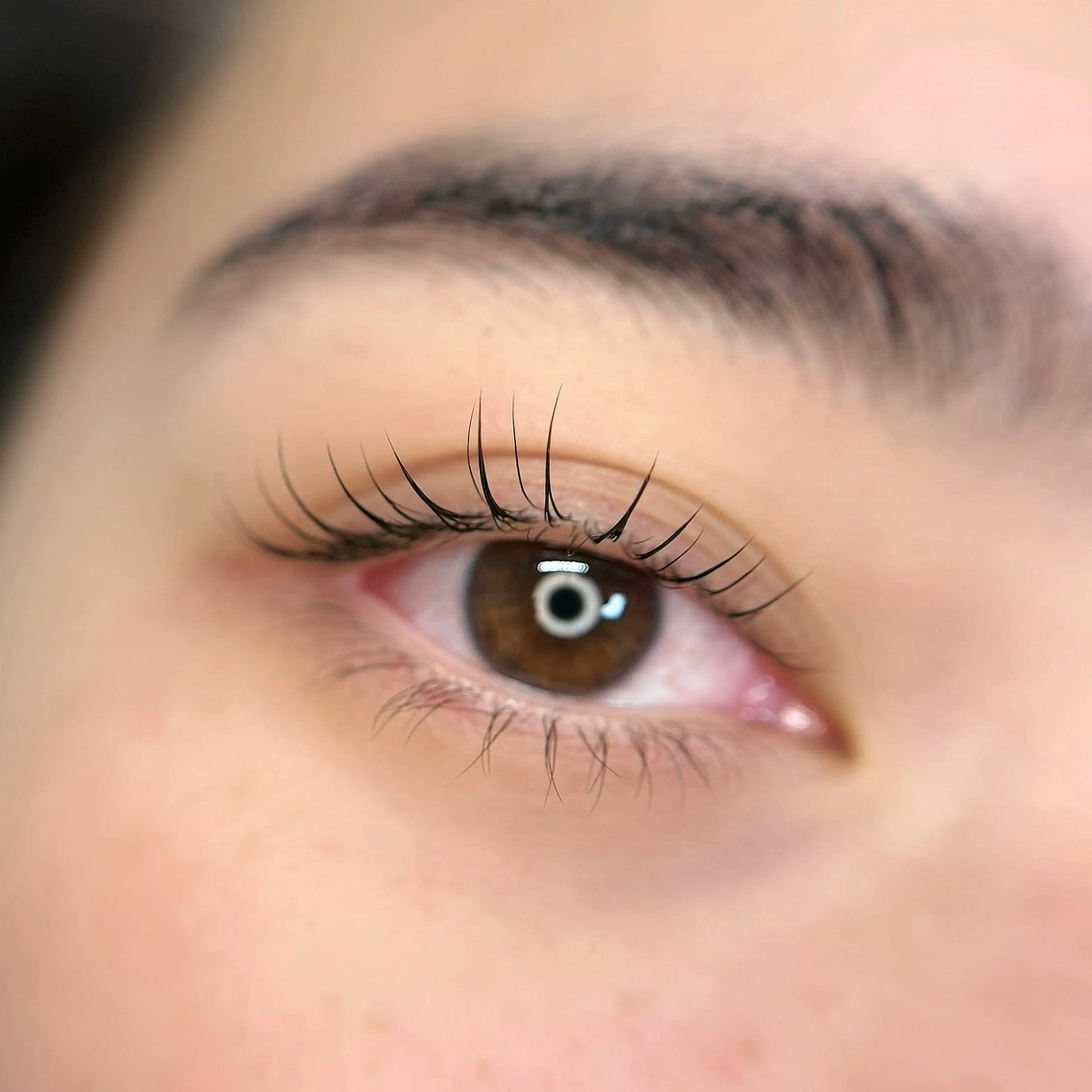 マツエク・マツパ マツパ OKIKA所属・【OKIKA】 らん🦖🌈🧡のマツエク・マツパデザイン