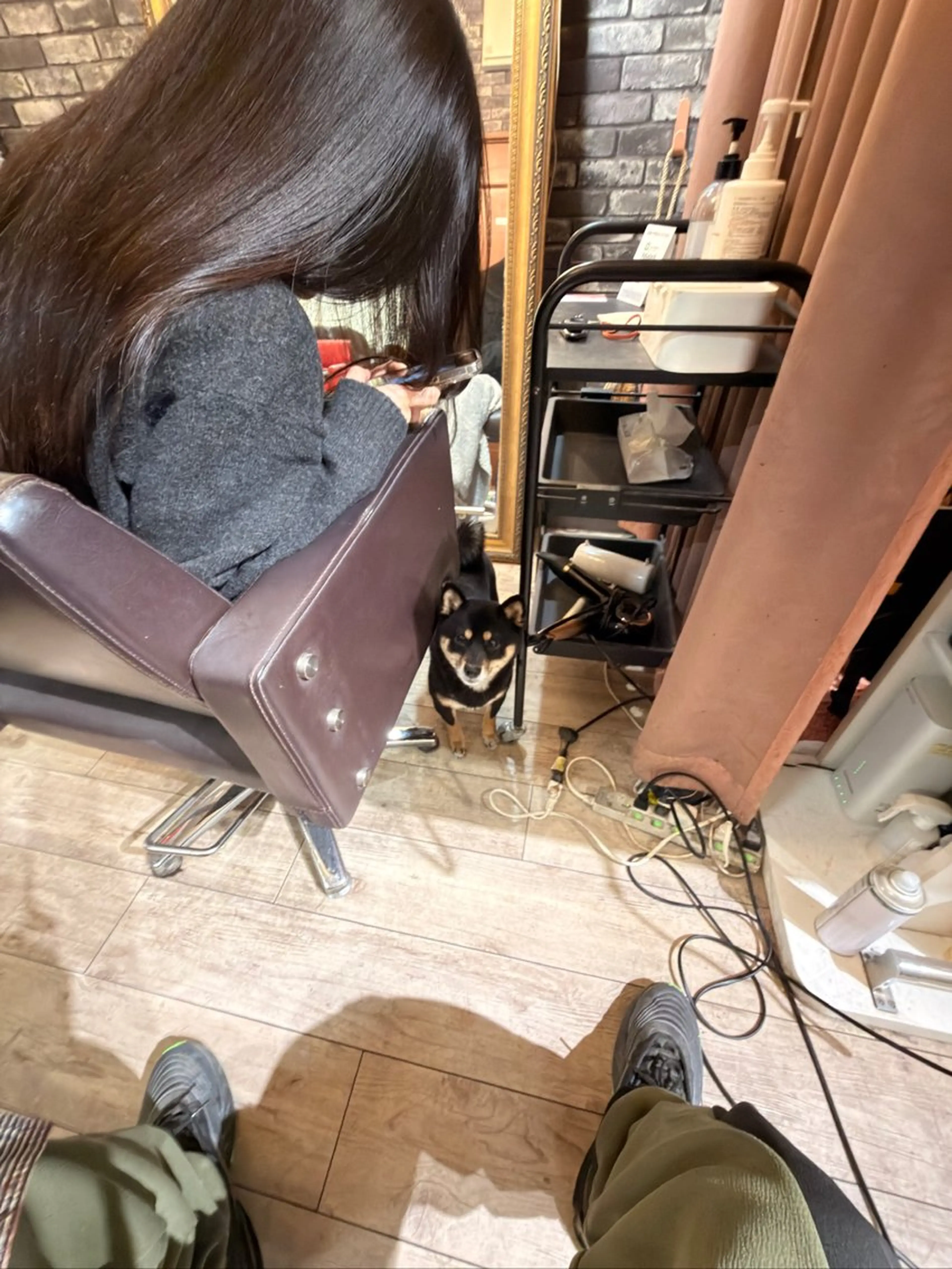 東心斎橋🌏豆柴 🐾倶楽部のヘアスタイル