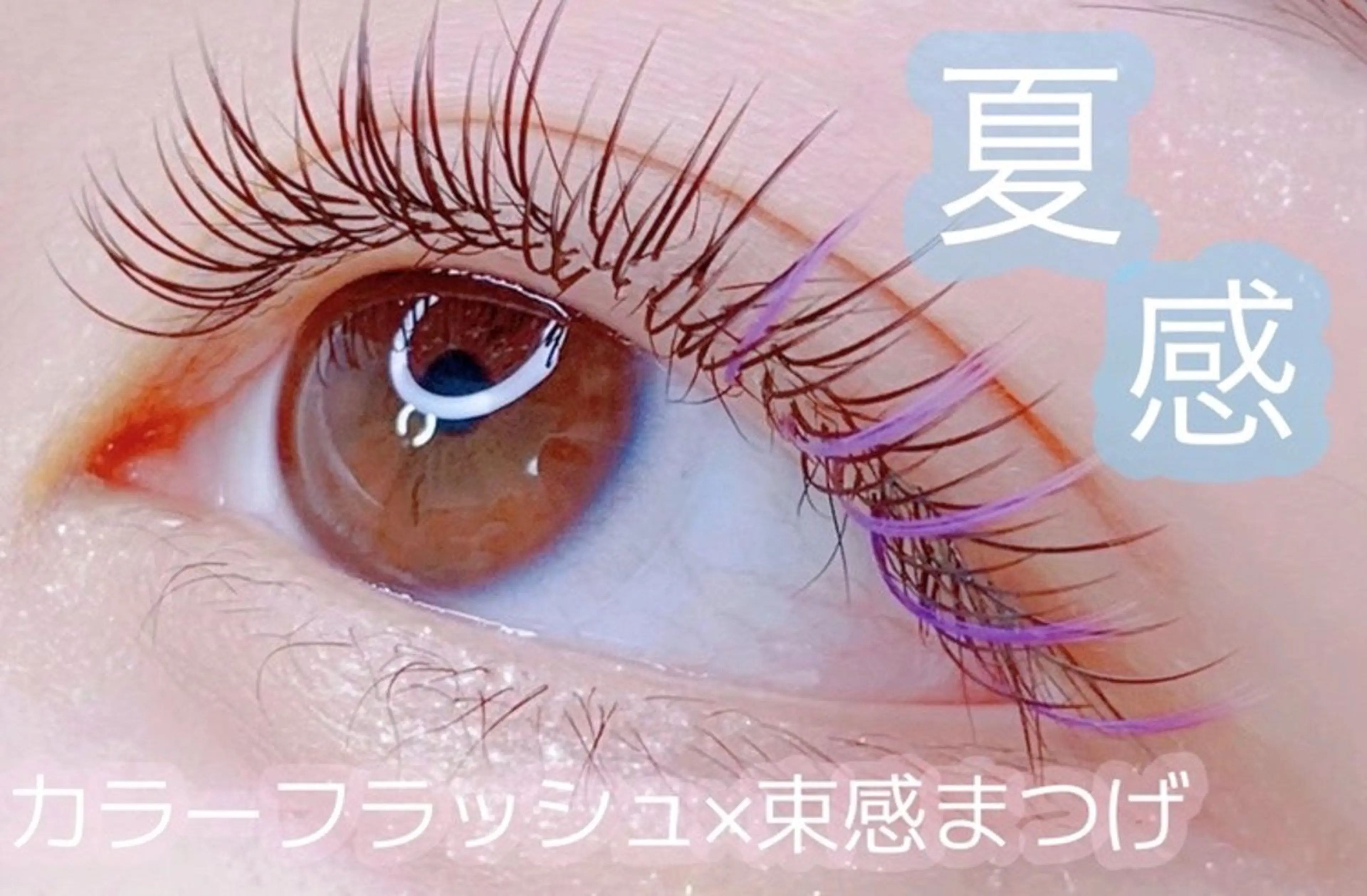 色を選べるフラットラッシュカラー100本【オフ+600】の写真