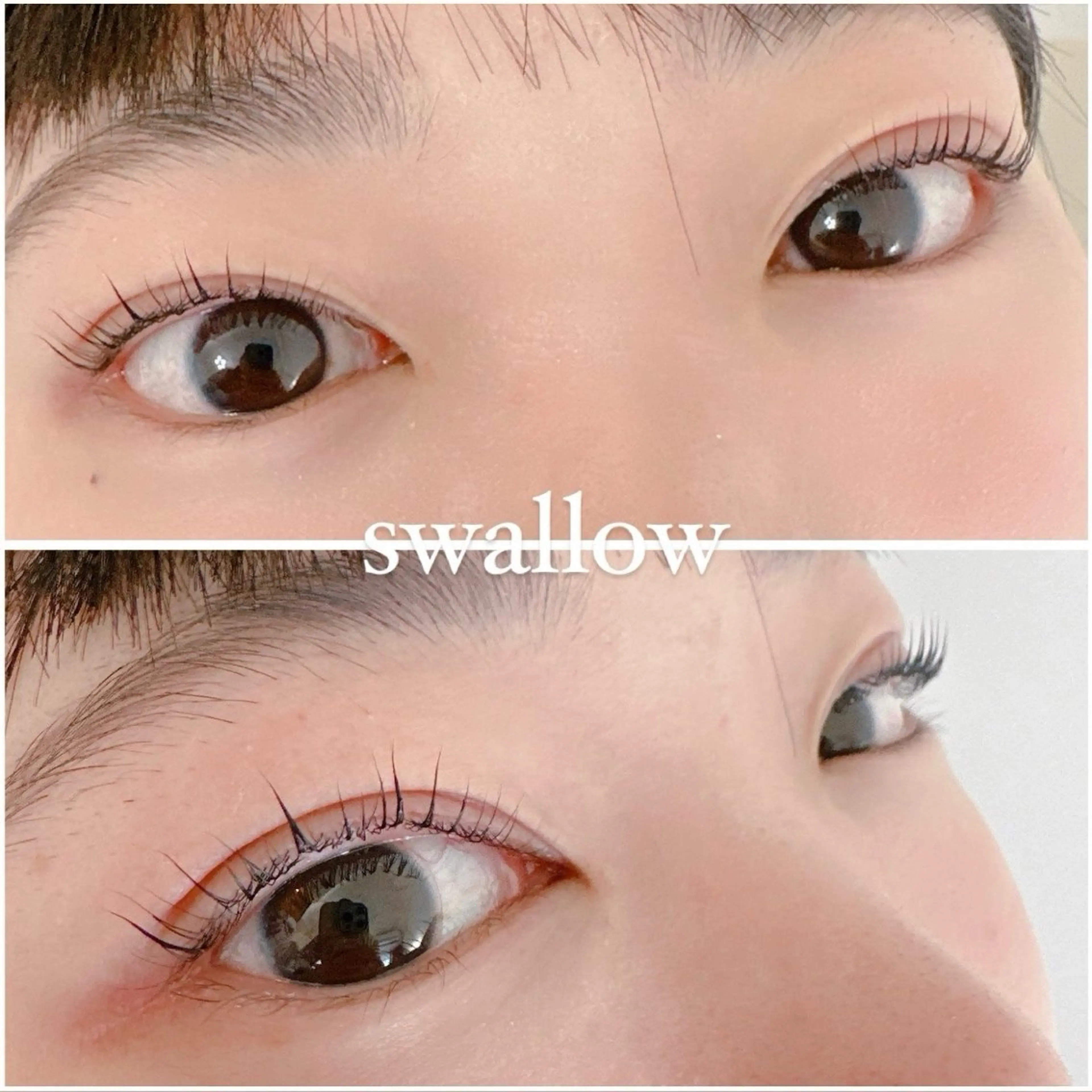 マツエク・マツパ swallow 奈良西大寺店のマツエク・マツパデザイン