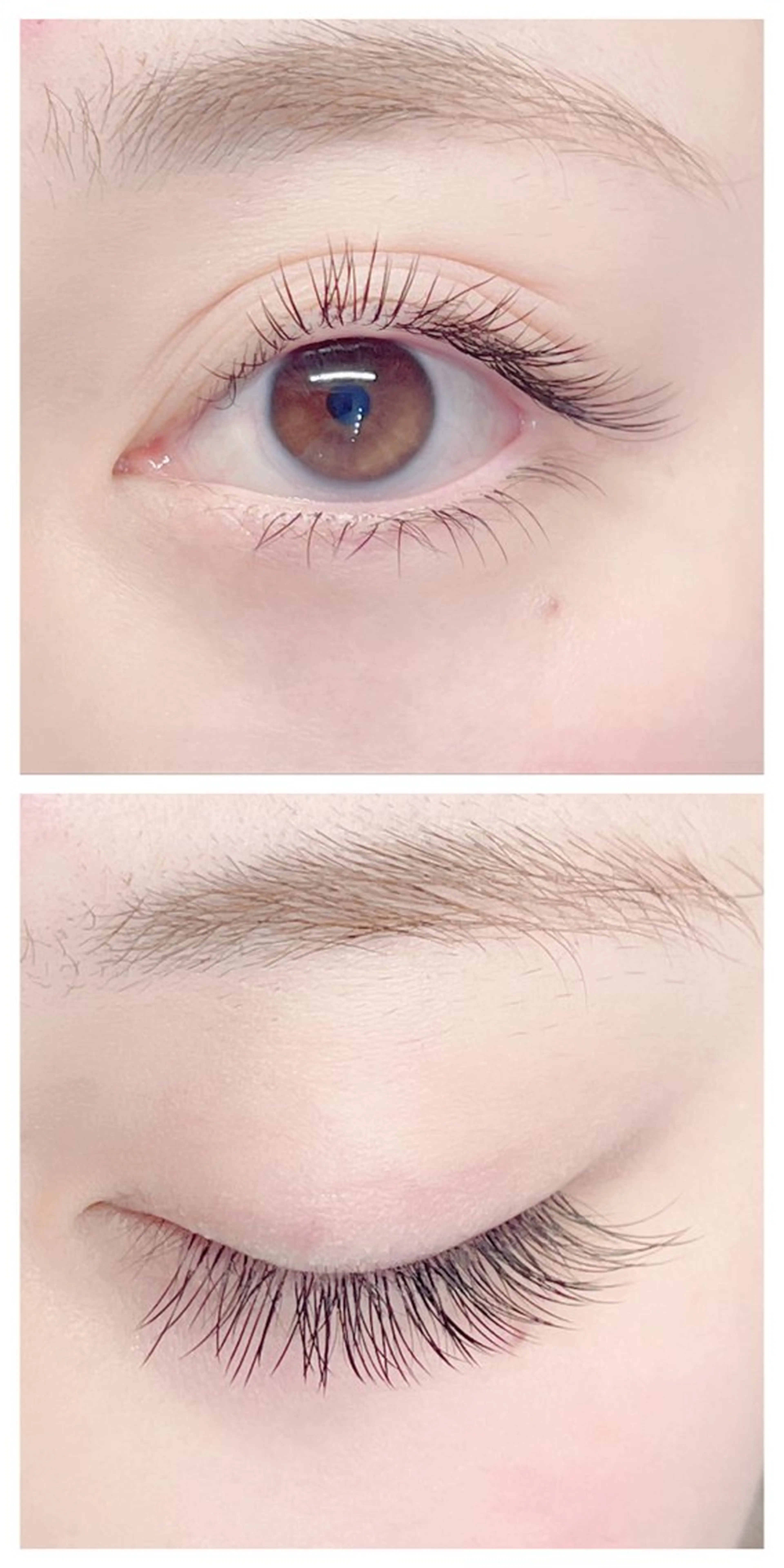 マツエク・マツパ Max salon Eyelashのマツエク・マツパデザイン