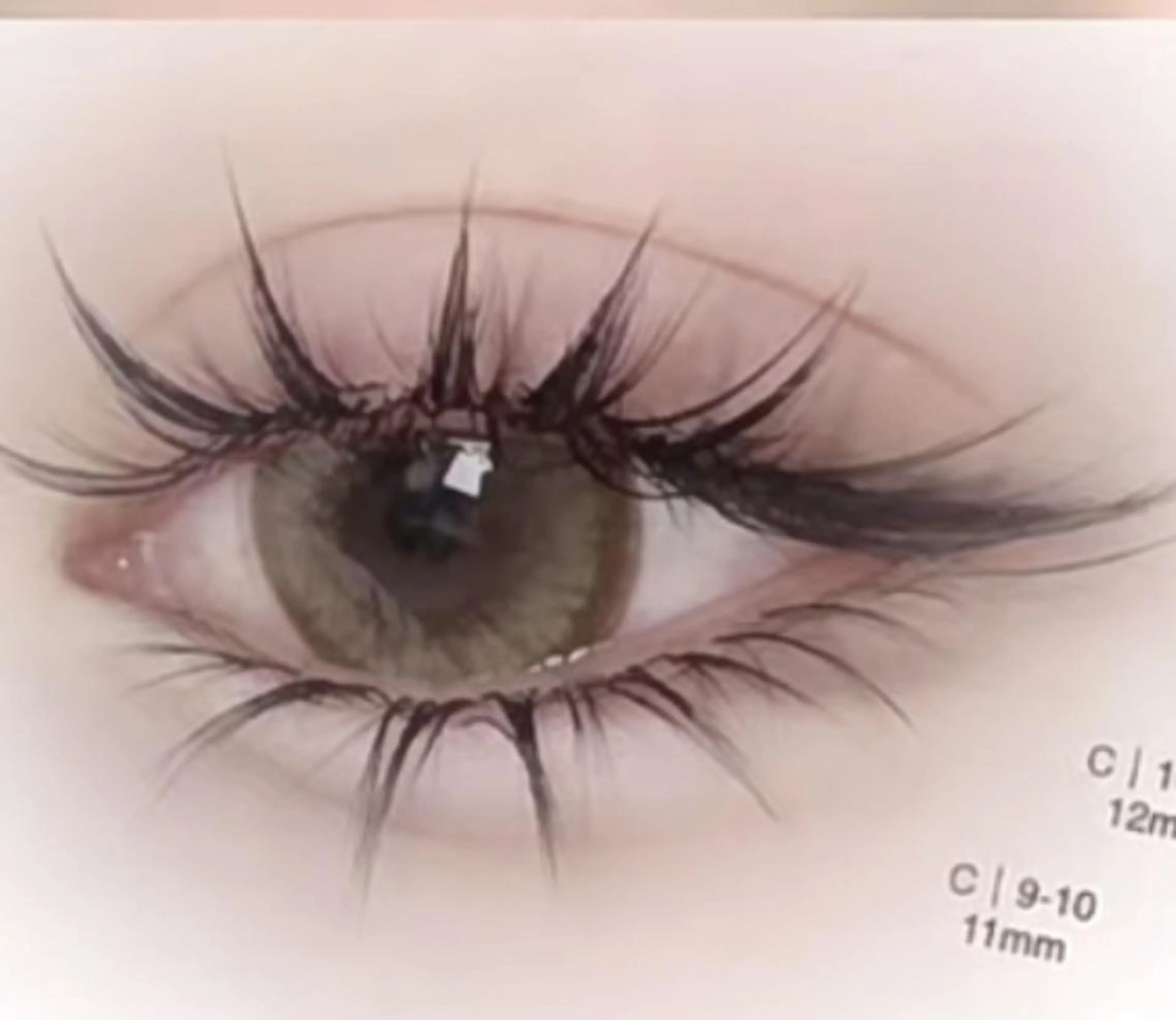 🧚‍♀️漫画デザイン🍒ワンホンデザイン持ち込みOK!700本迄+下まつ毛つけ放題¥12000の写真