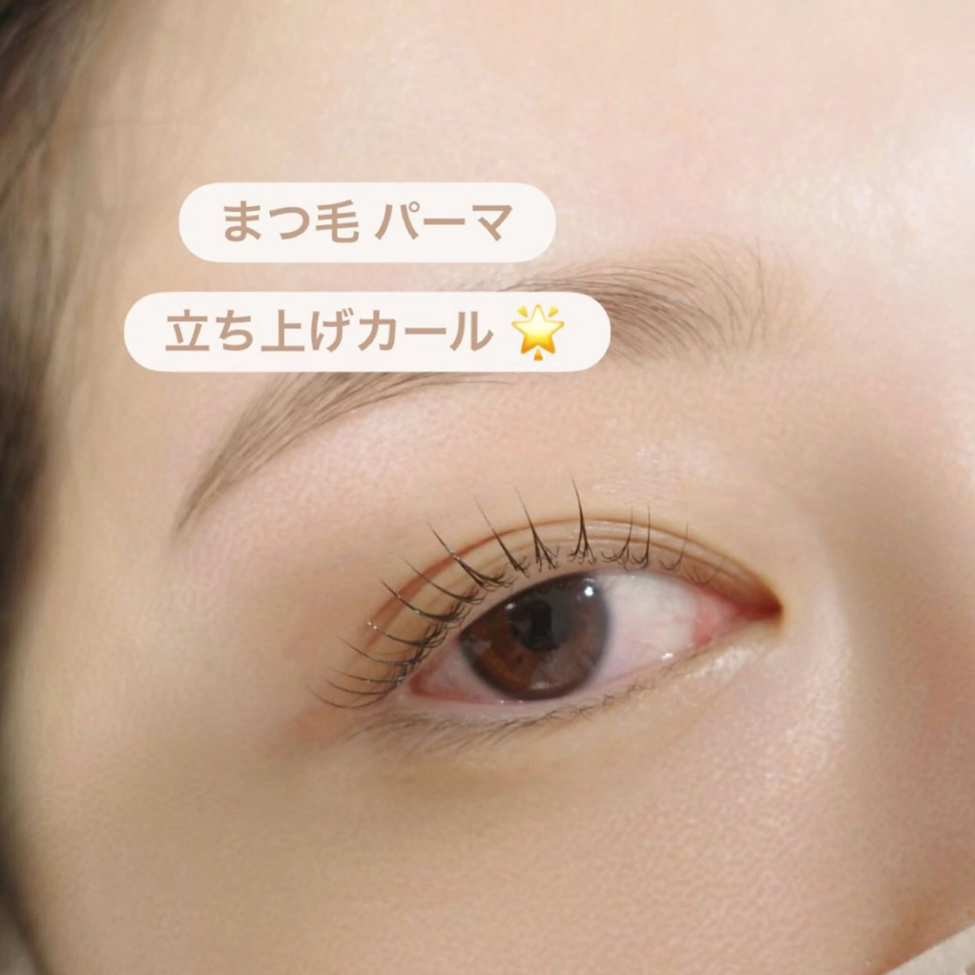 マツエク・マツパ 一重×まつ毛パーマ HAKU所属・Eye List myu 🎀のマツエク・マツパデザイン