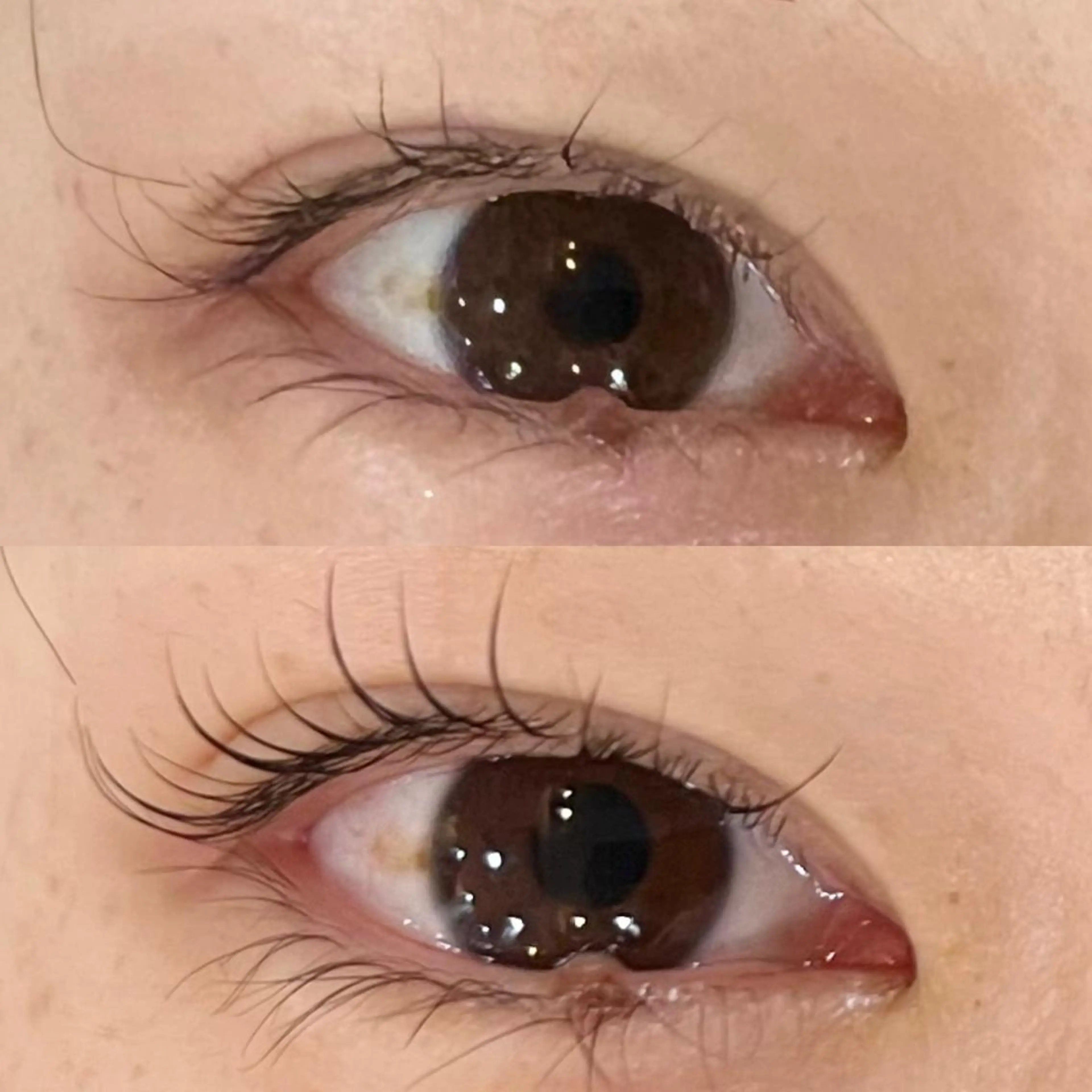 まつ毛パーマ💙上下の写真