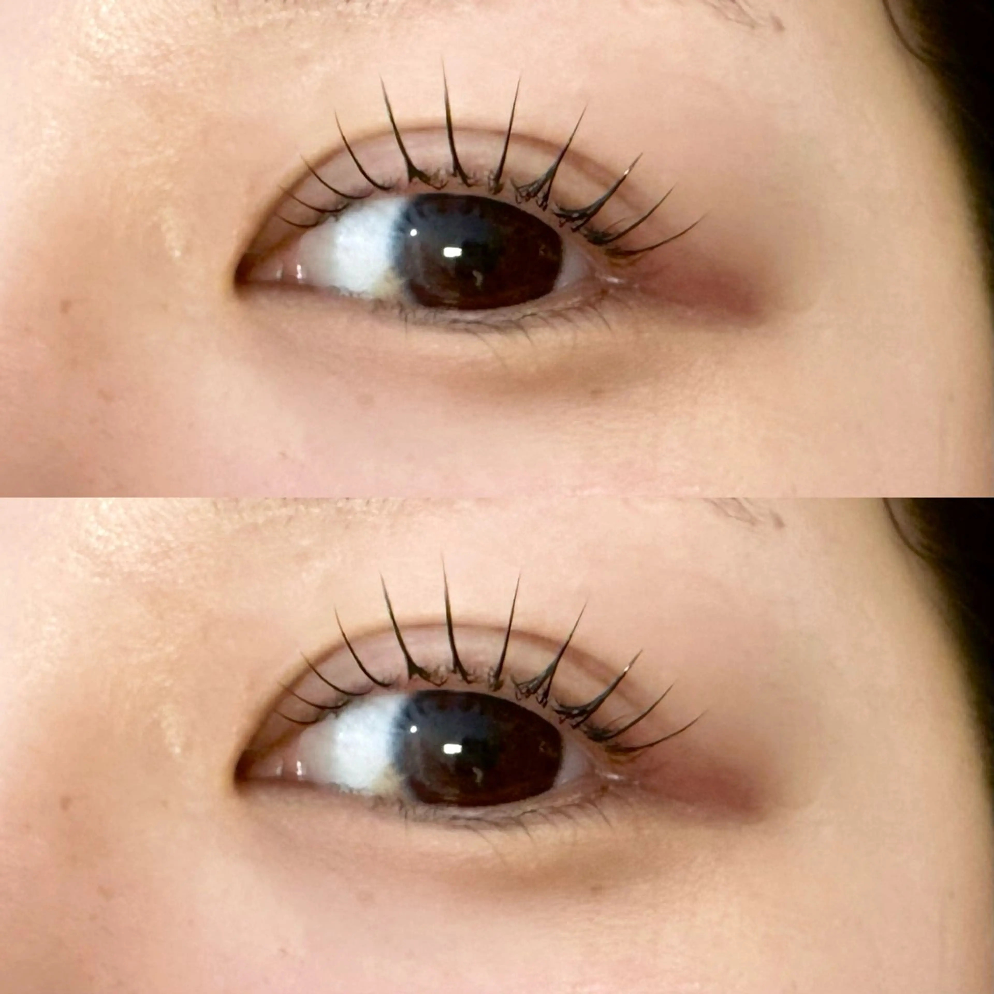 マツエク・マツパ マツパ 南舘 由奈の眉毛・アイブロウイメージ