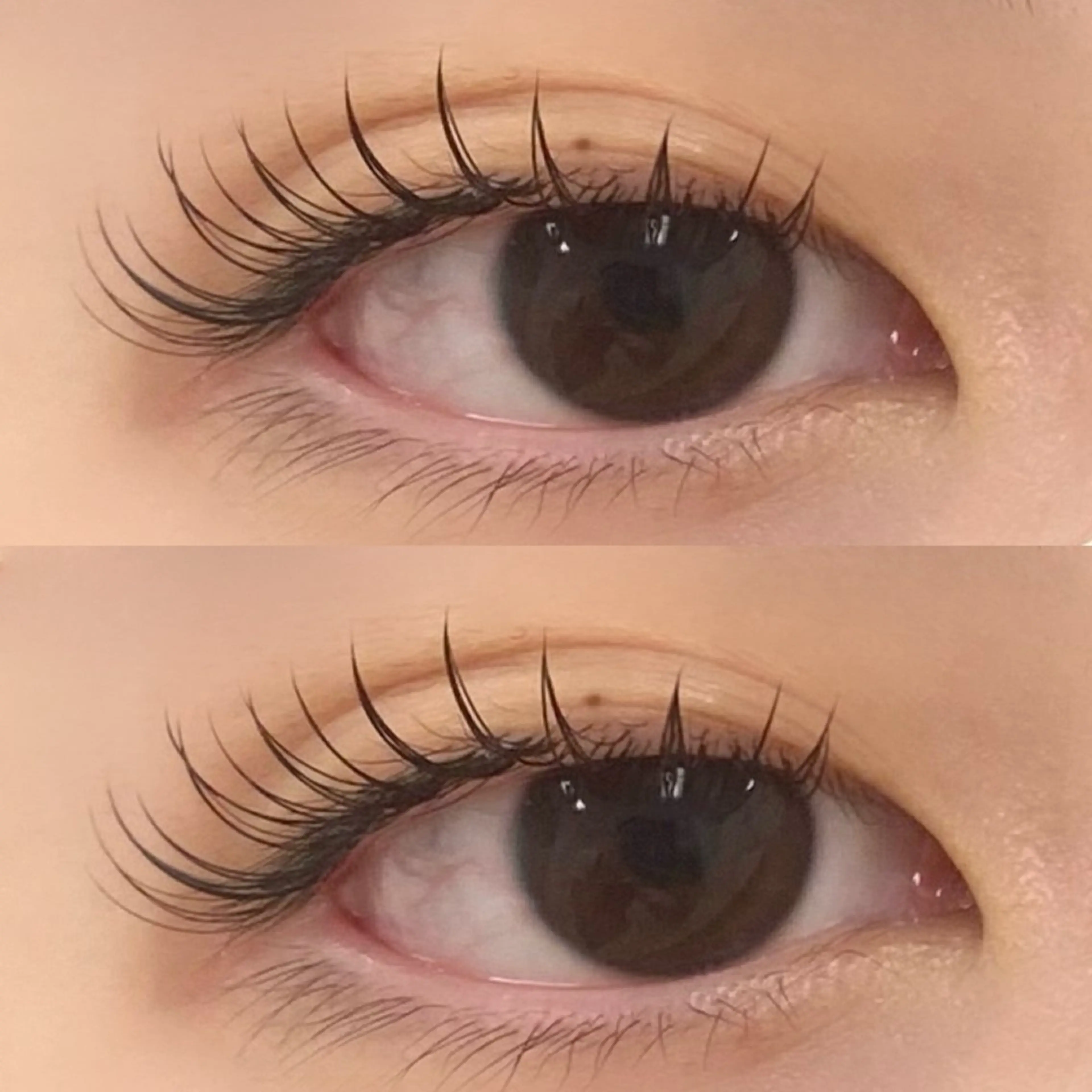 マツエク・マツパ Bianca横浜関内 NOSHITA𓆉のマツエク・マツパデザイン