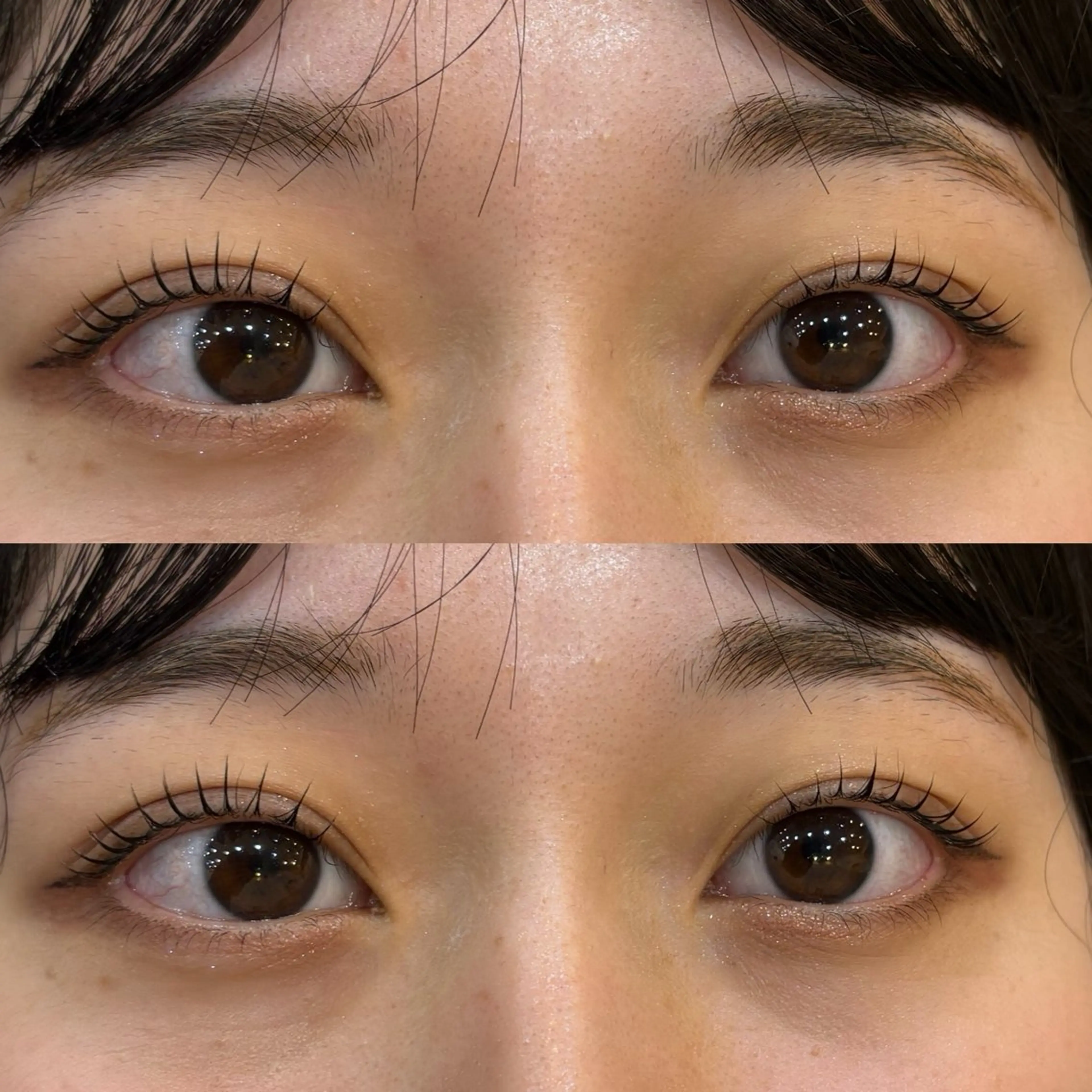 \ブラックティント付き/まつ毛パーマ🧚🏻/🫧トリートメントorコーティング仕上げ🫧『阿佐ヶ谷・高円寺・荻窪』の写真