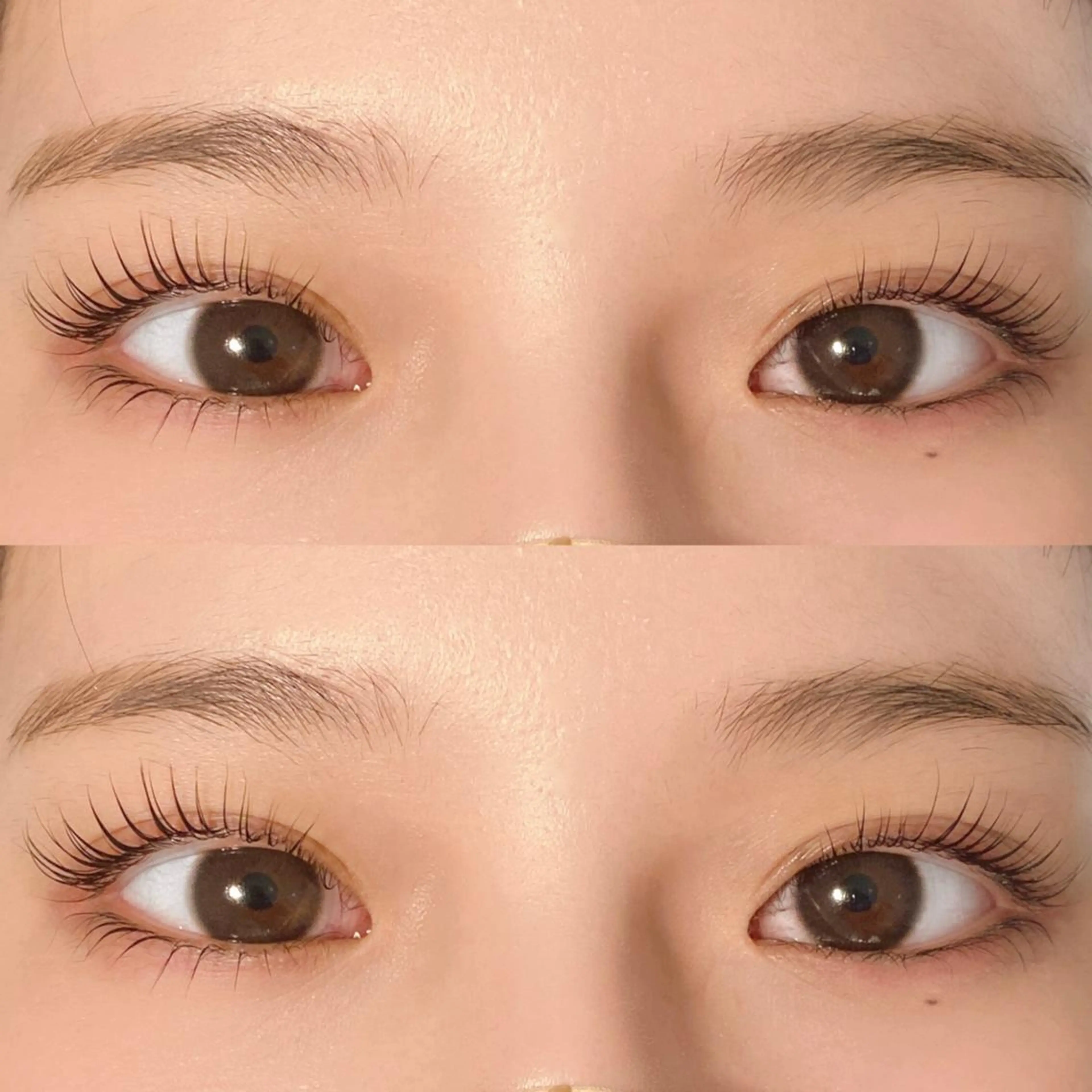 本日限定上下パリジェンヌラッシュリフトの写真