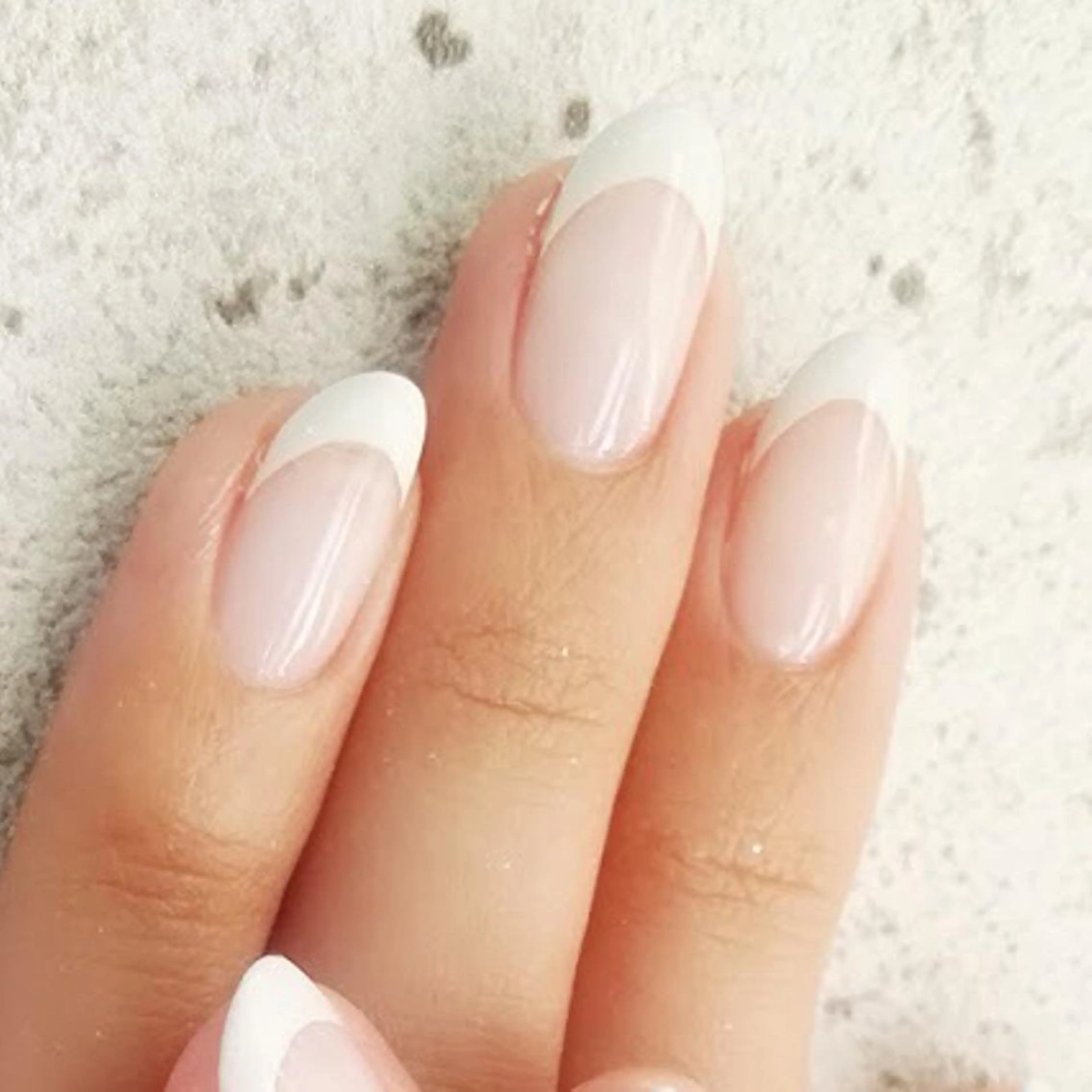 フレンチ(オフ無料)の写真