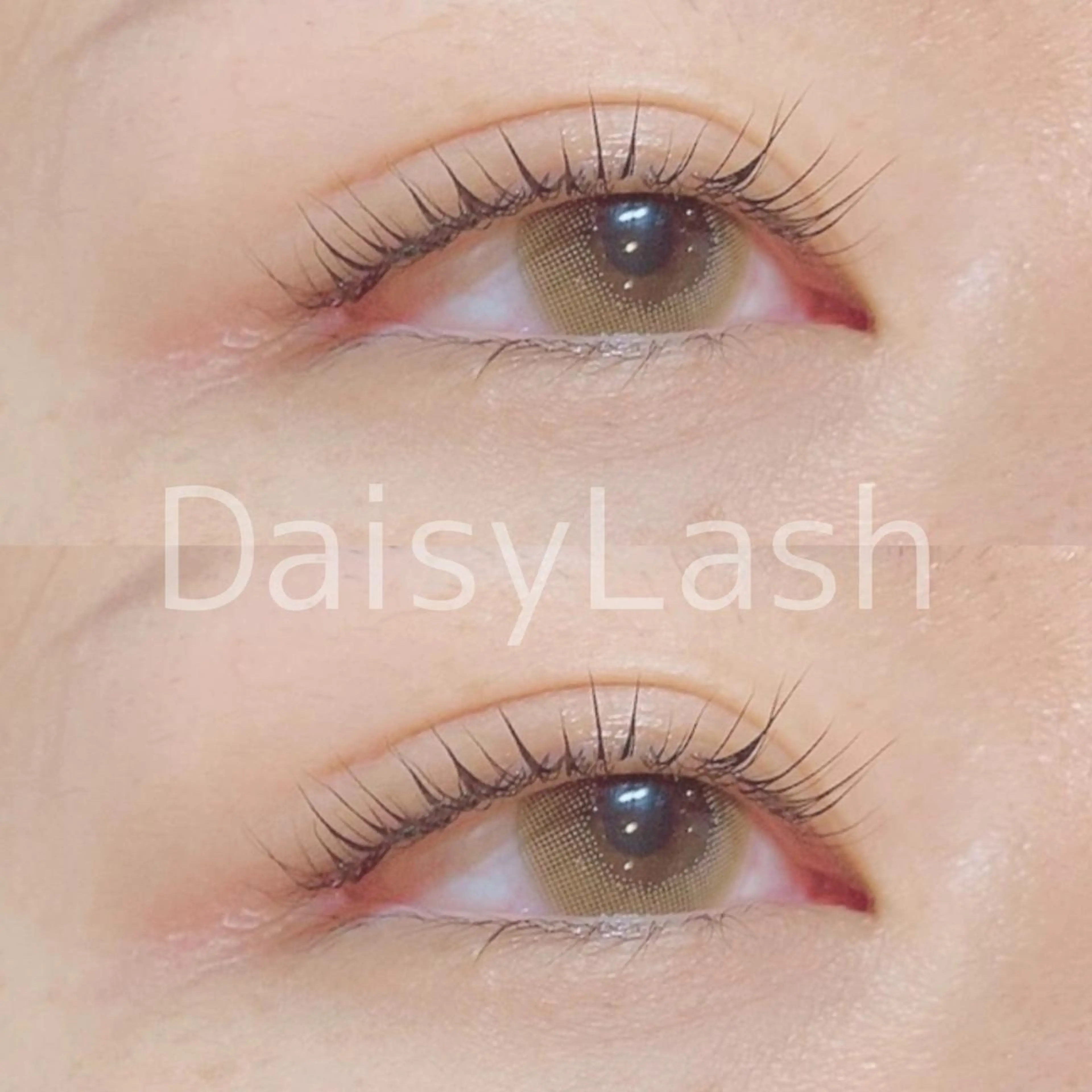 マツエク・マツパ DaisyLash 京橋店のマツエク・マツパデザイン