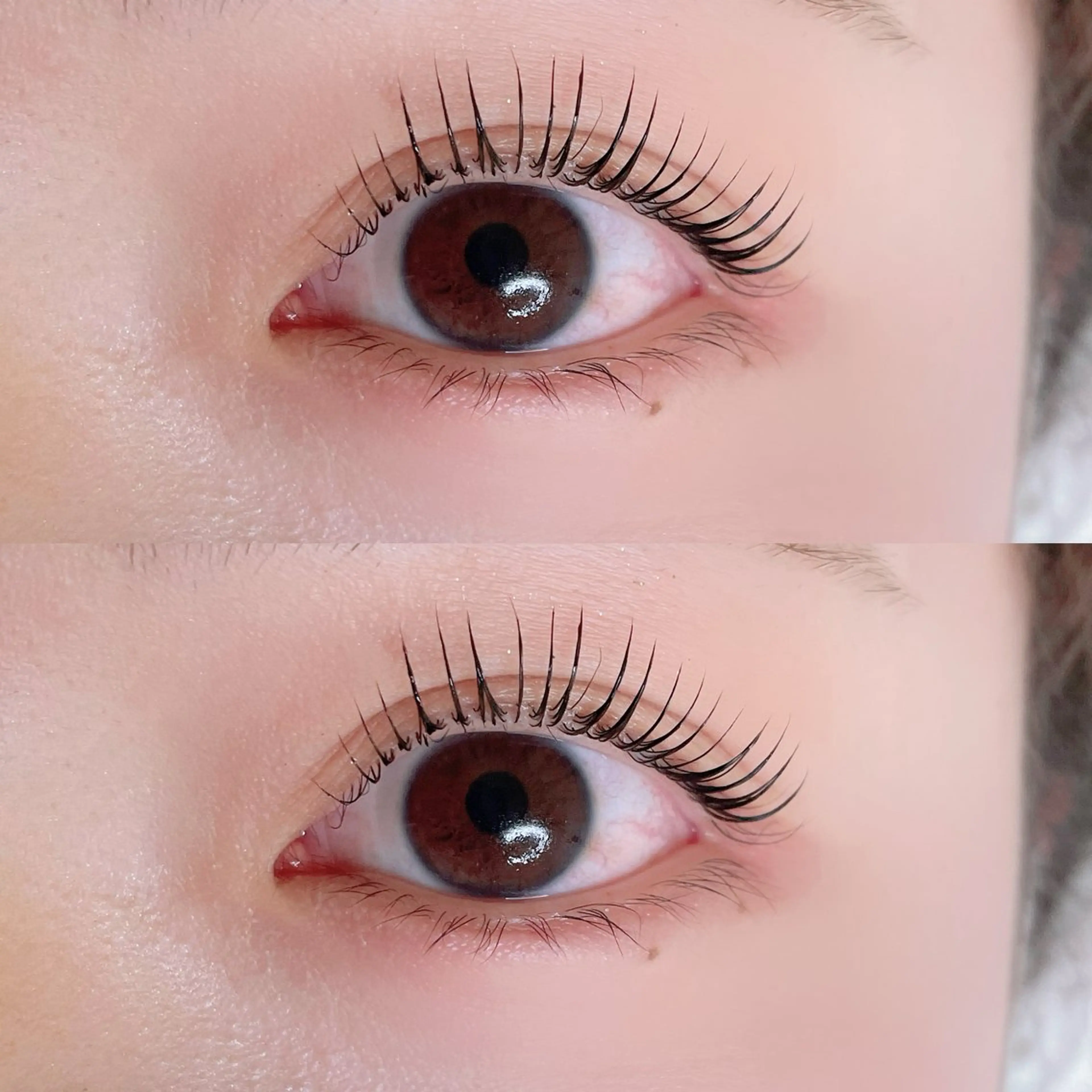 マツエク・マツパ アイブロウサロン WHITE EYE 岩出 眉毛専門店【ホワイトアイ】所属・WHITE EYE🫧岩出店のマツエク・マツパデザイン