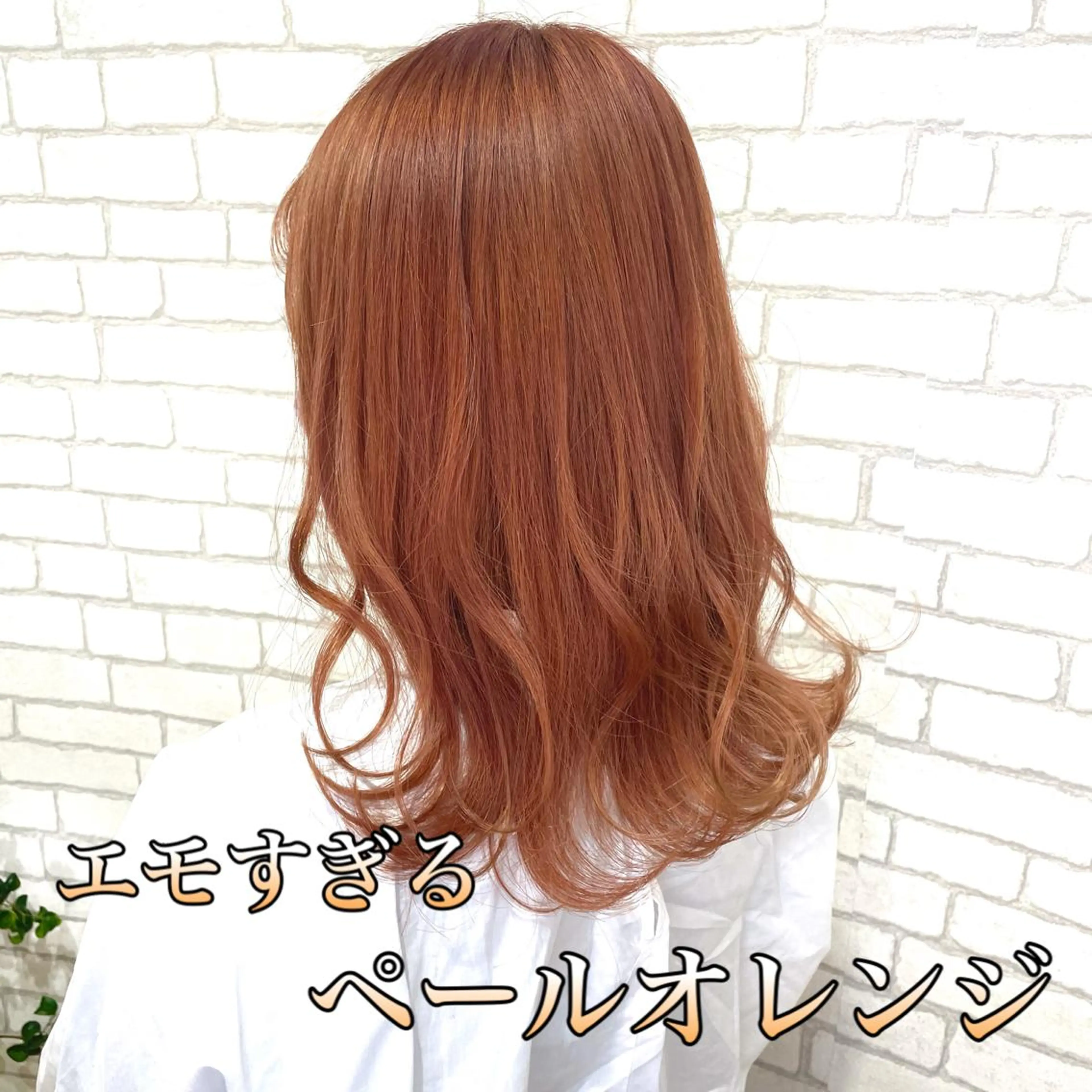 ミディアム カラー カット ヘアカラー トリートメント shanti   平岸店所属・柾本 寛貴のヘアスタイル