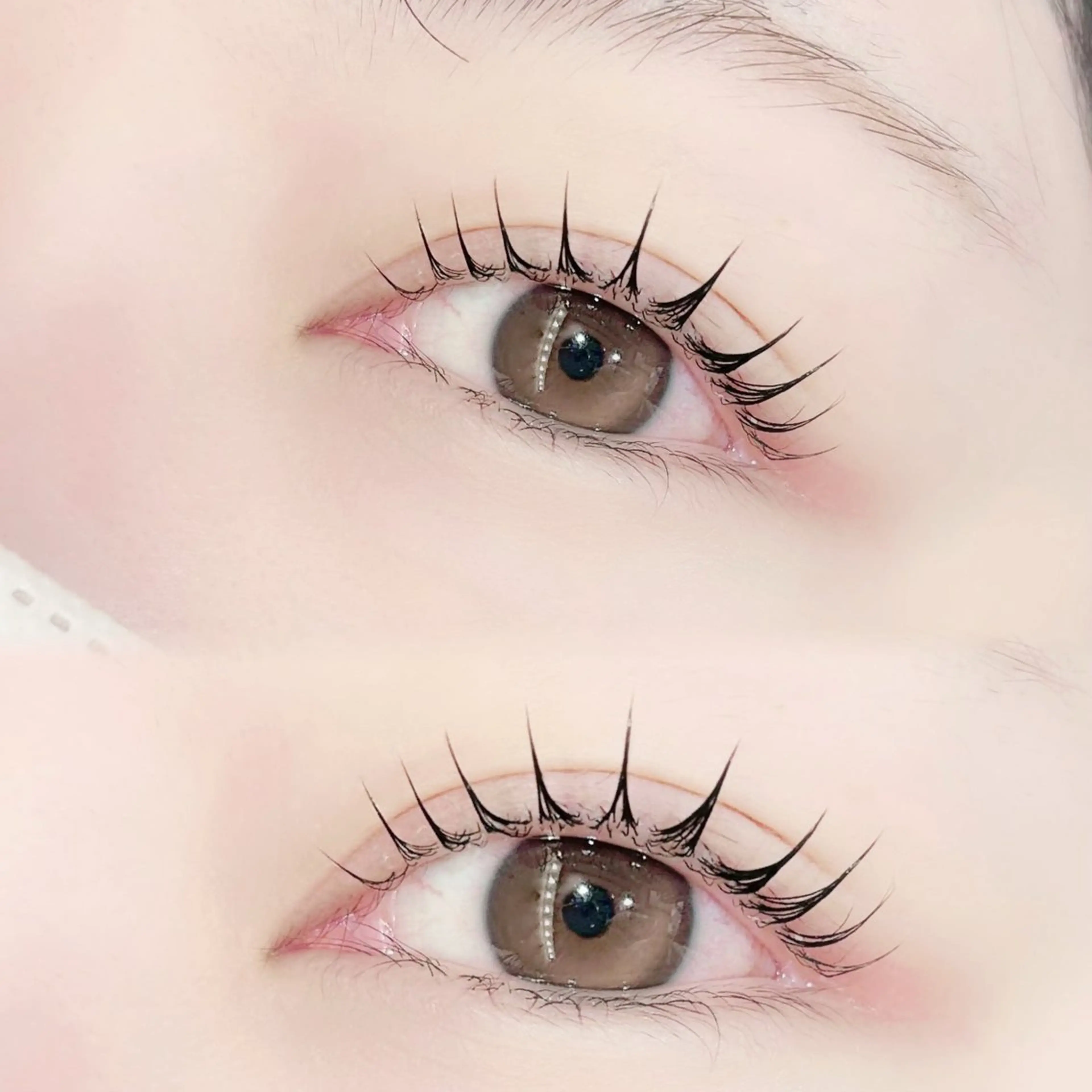 マツエク・マツパ 束感まつ毛 マツパ cilmeiliシルメイリー所属・シルメイリーHARU /束感/韓国まつ毛のマツエク・マツパデザイン