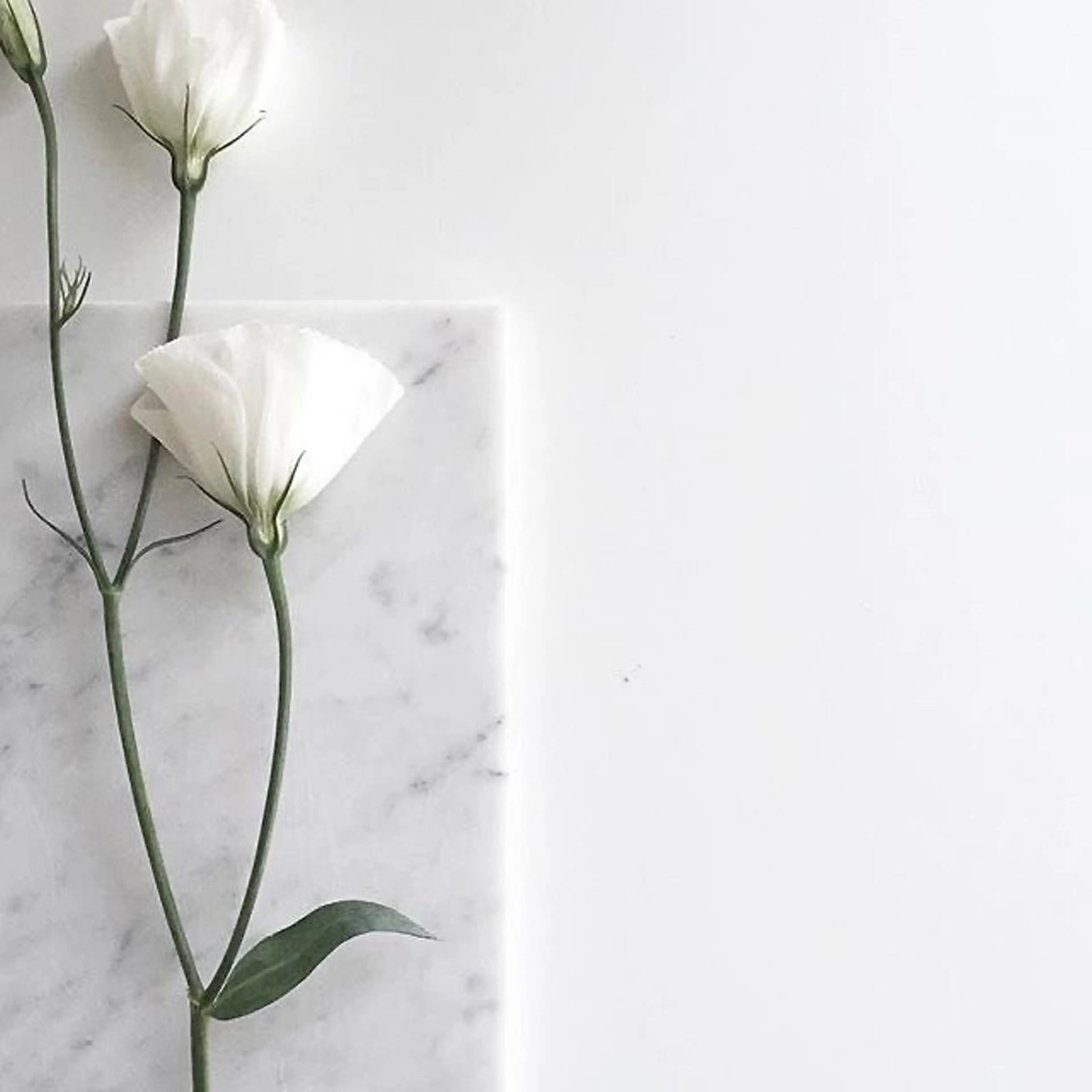 メンズ マツエク・マツパ アイブロウ Lash&brow PORTE269布施店所属・brace 竹田愛海のエステ・リラクイメージ