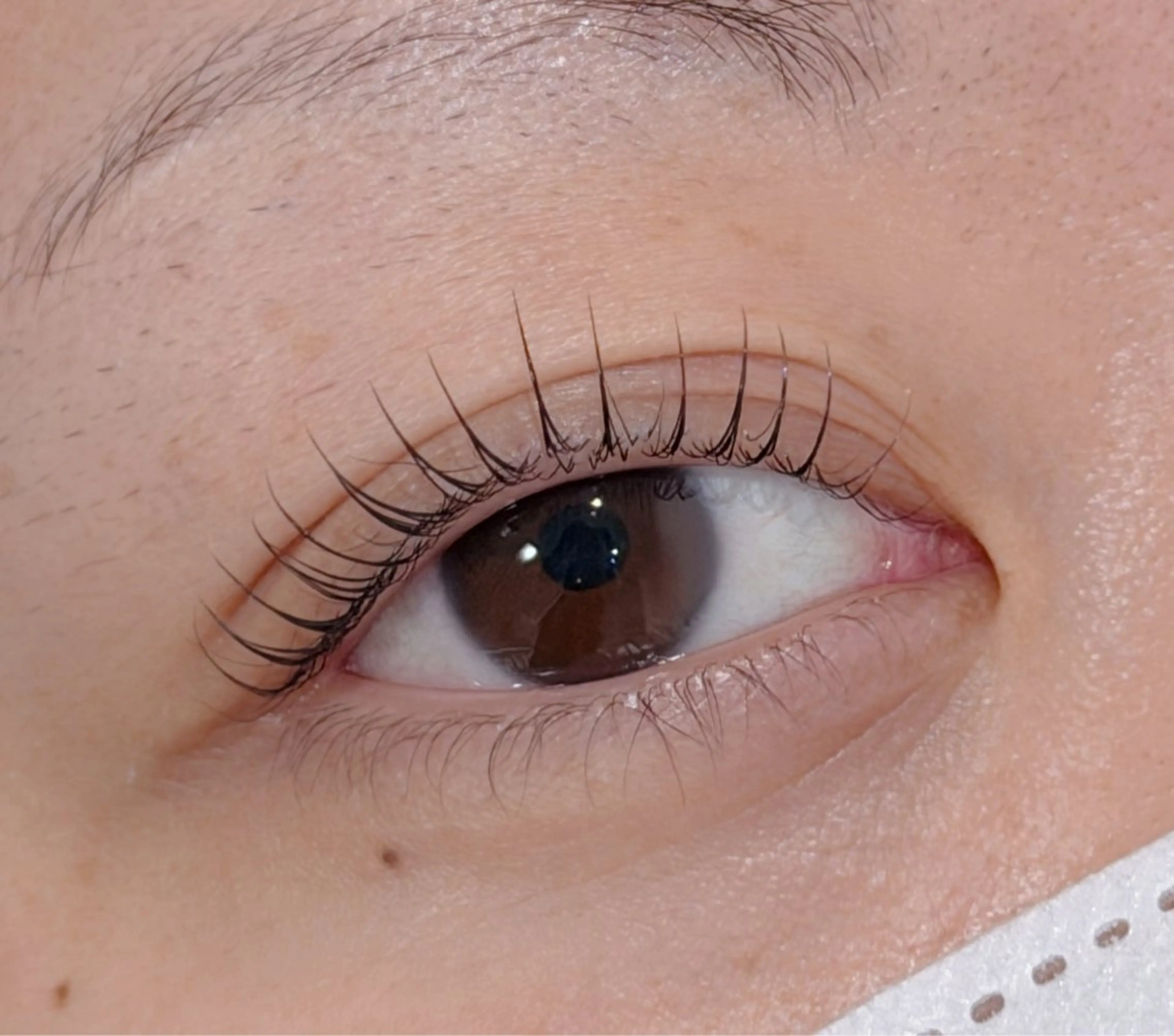 マツエク・マツパ 一重×まつ毛パーマ Lil by Fan. 菊池のマツエク・マツパデザイン