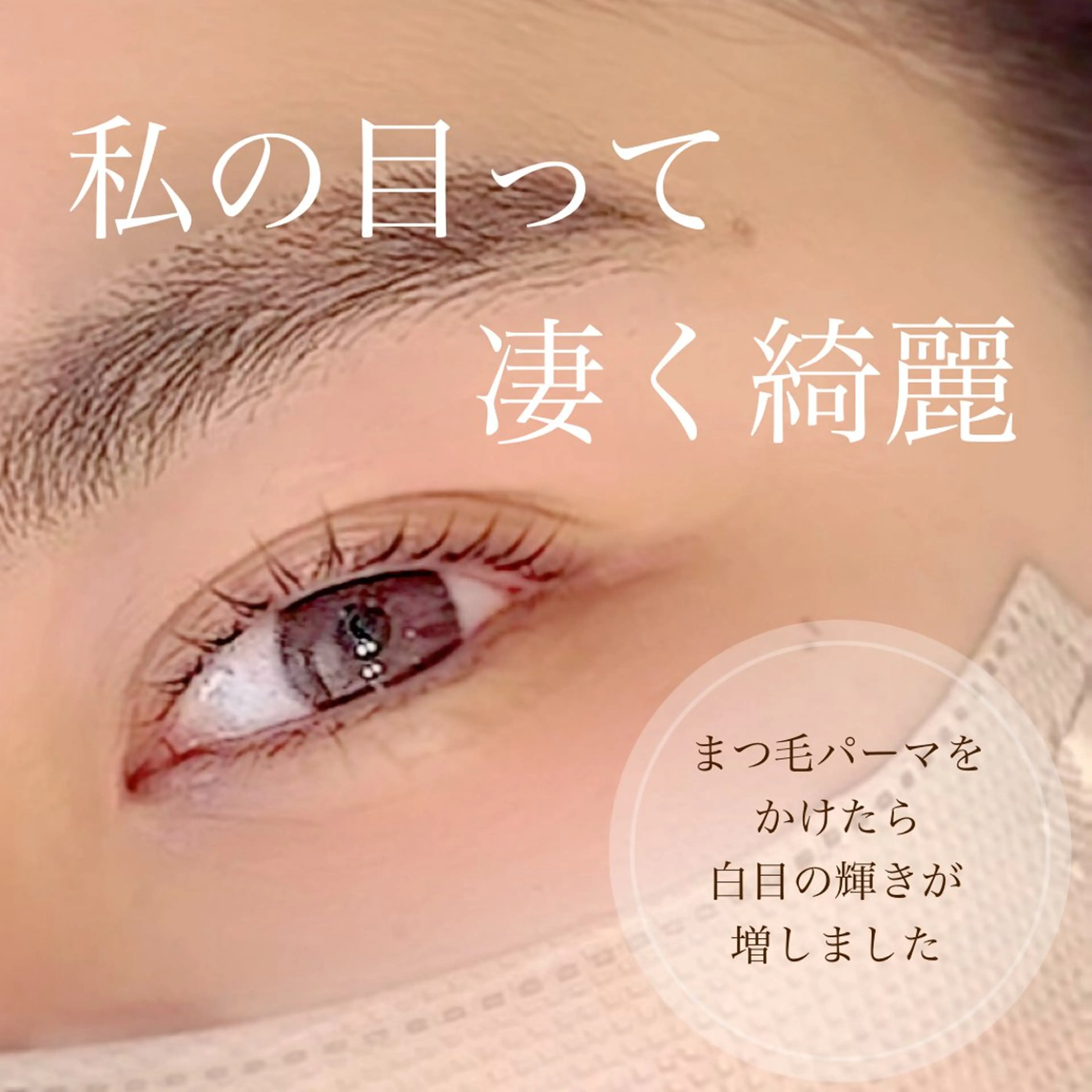 マツエク・マツパ まつ毛・眉/ 練習＆モニター専用のマツエク・マツパデザイン