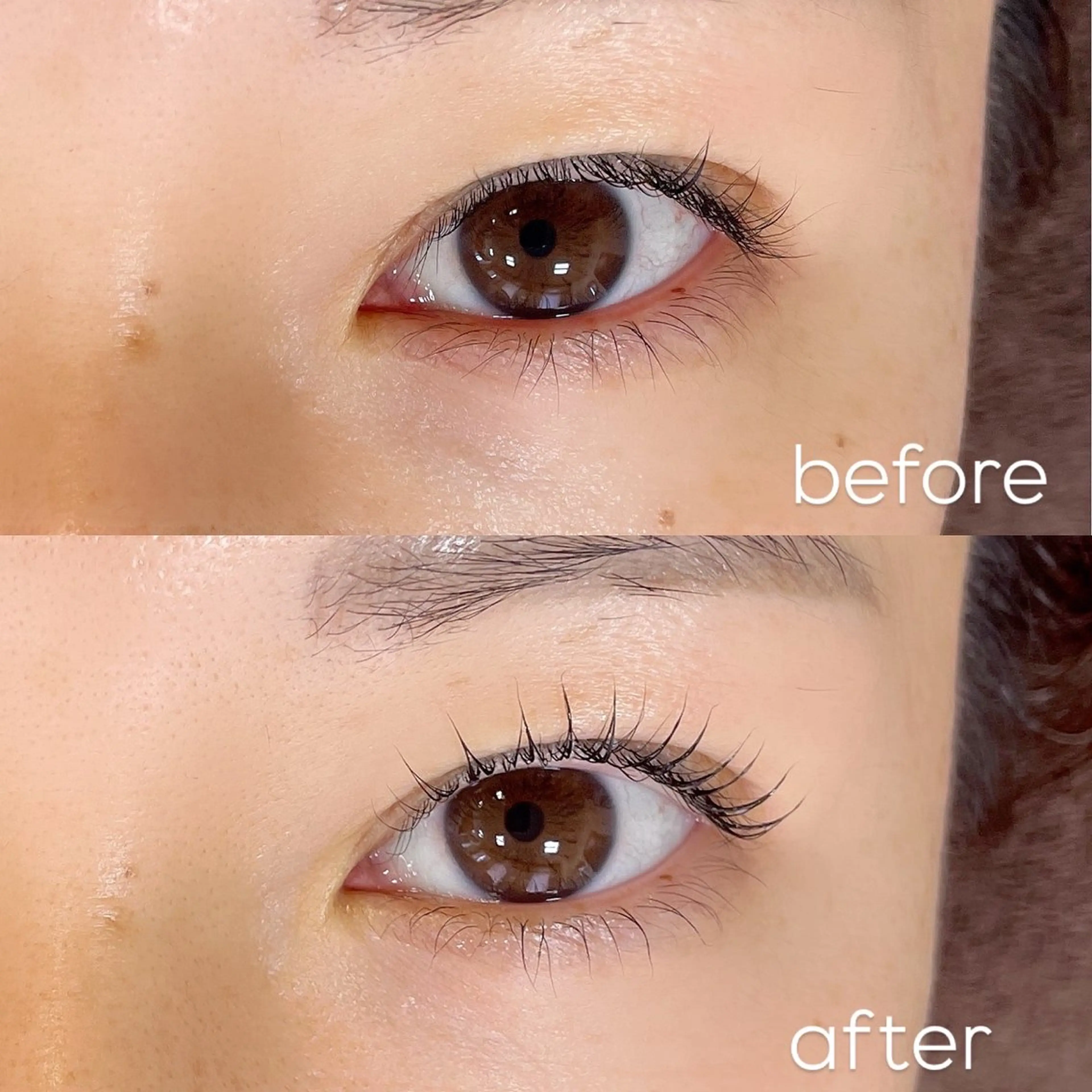 まつ毛パーマ上下の写真