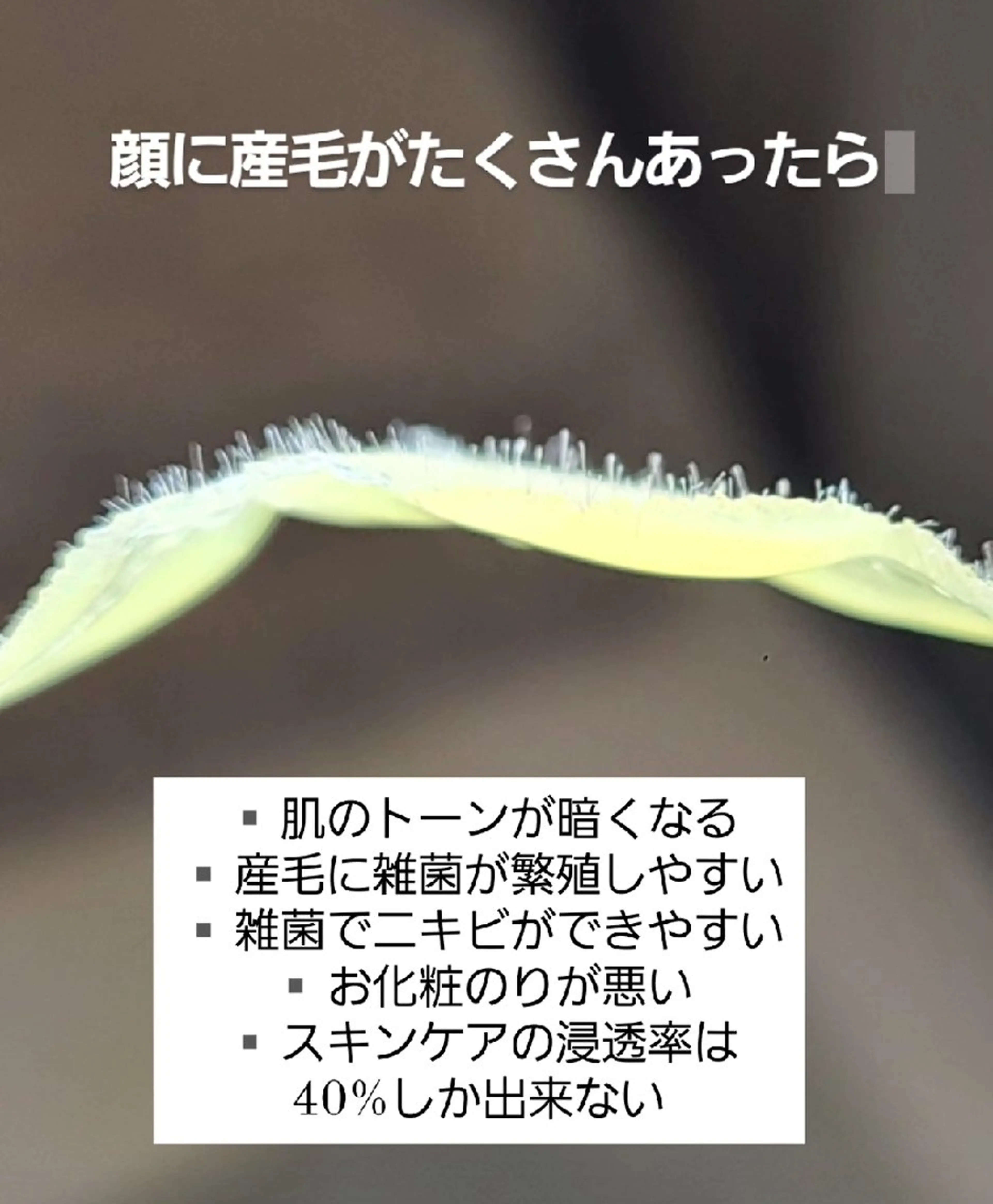 Premier 所属・寺西 さくらのエステ・リラクイメージ