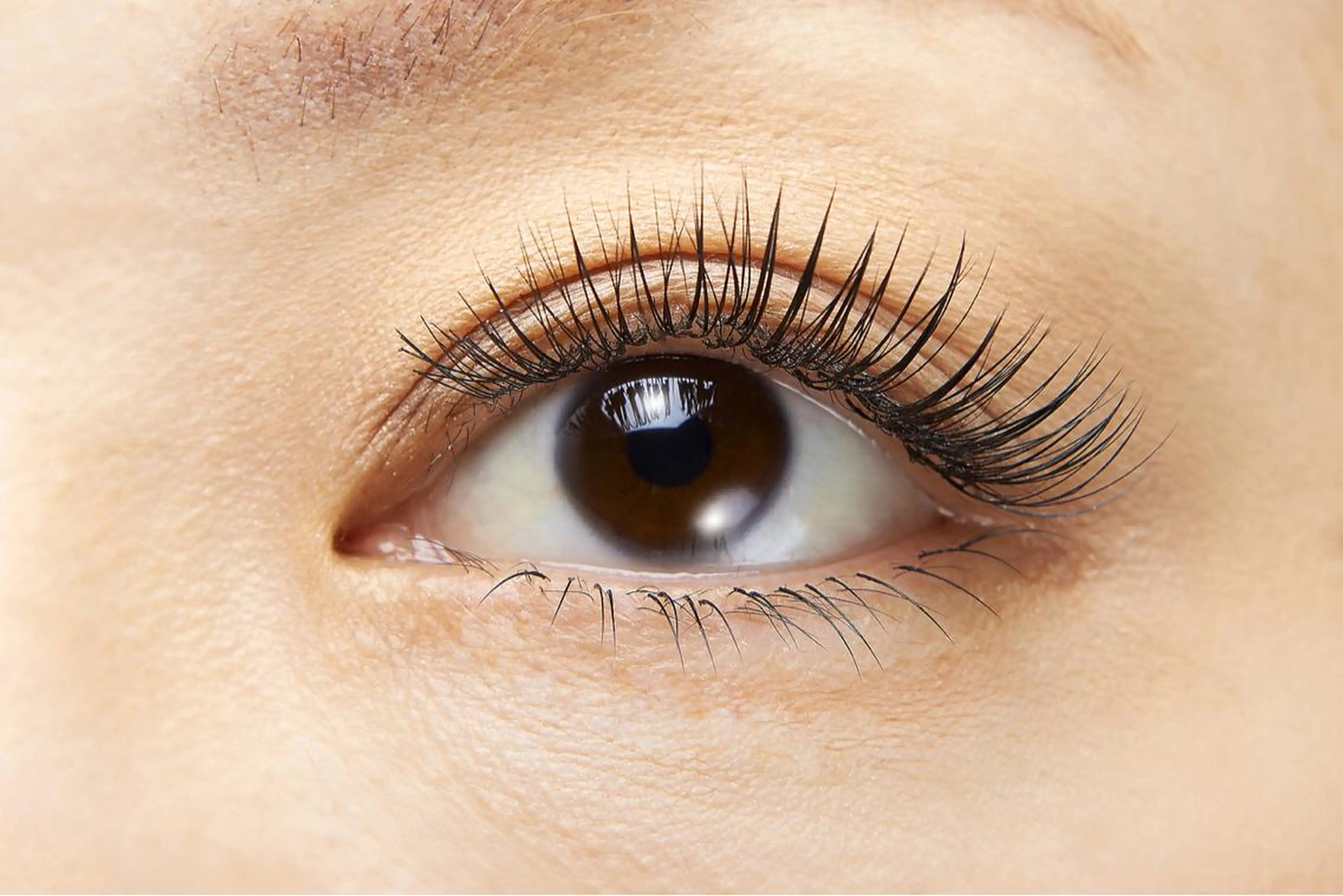 マツエク・マツパ 付け放題 服部 祐美子のマツエク・マツパデザイン