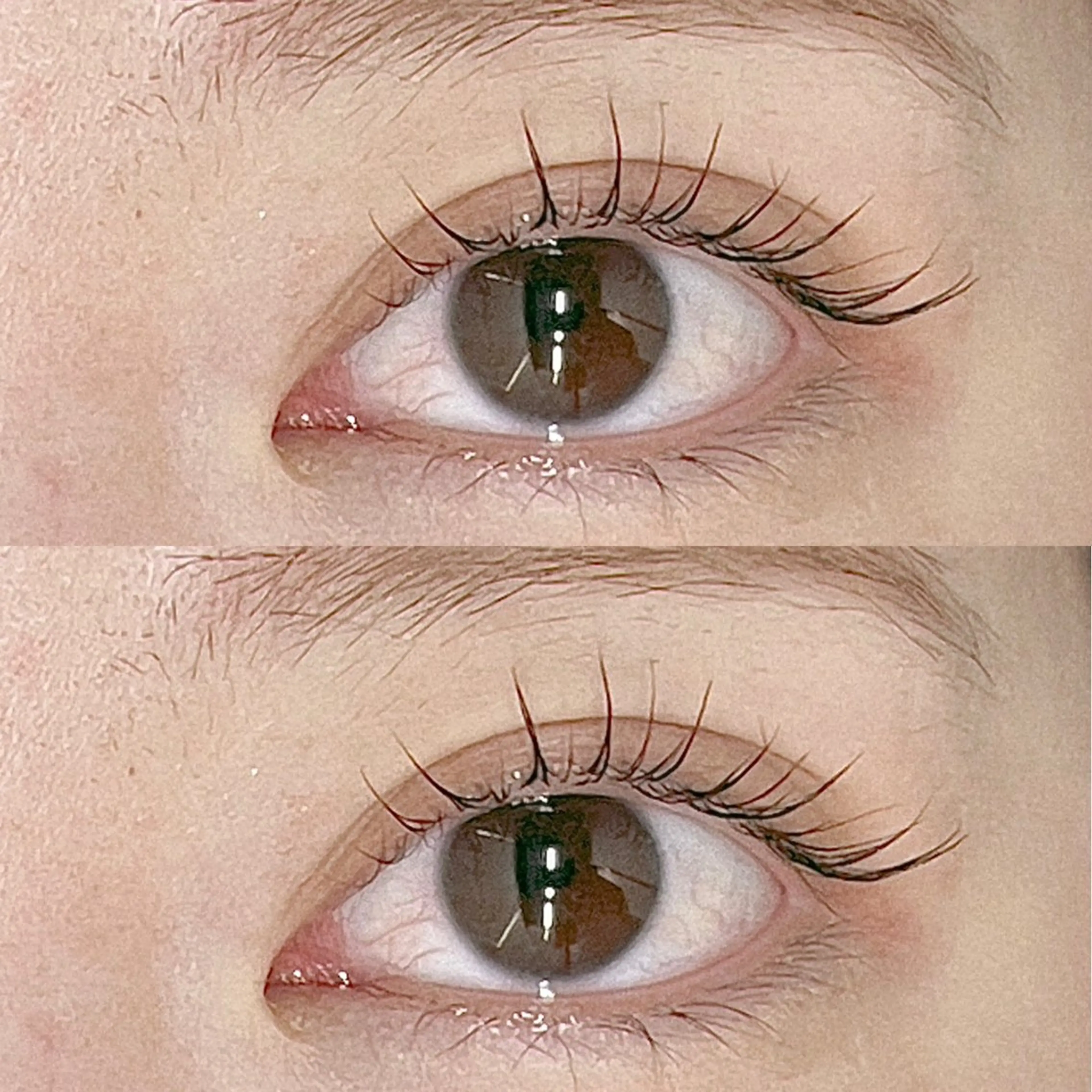 マツエク・マツパ 束感まつ毛 マツパ パリジェンヌ・VLEDLASH専門店】FAST LASH 渋谷所属・もな/ FASTLASHのマツエク・マツパデザイン