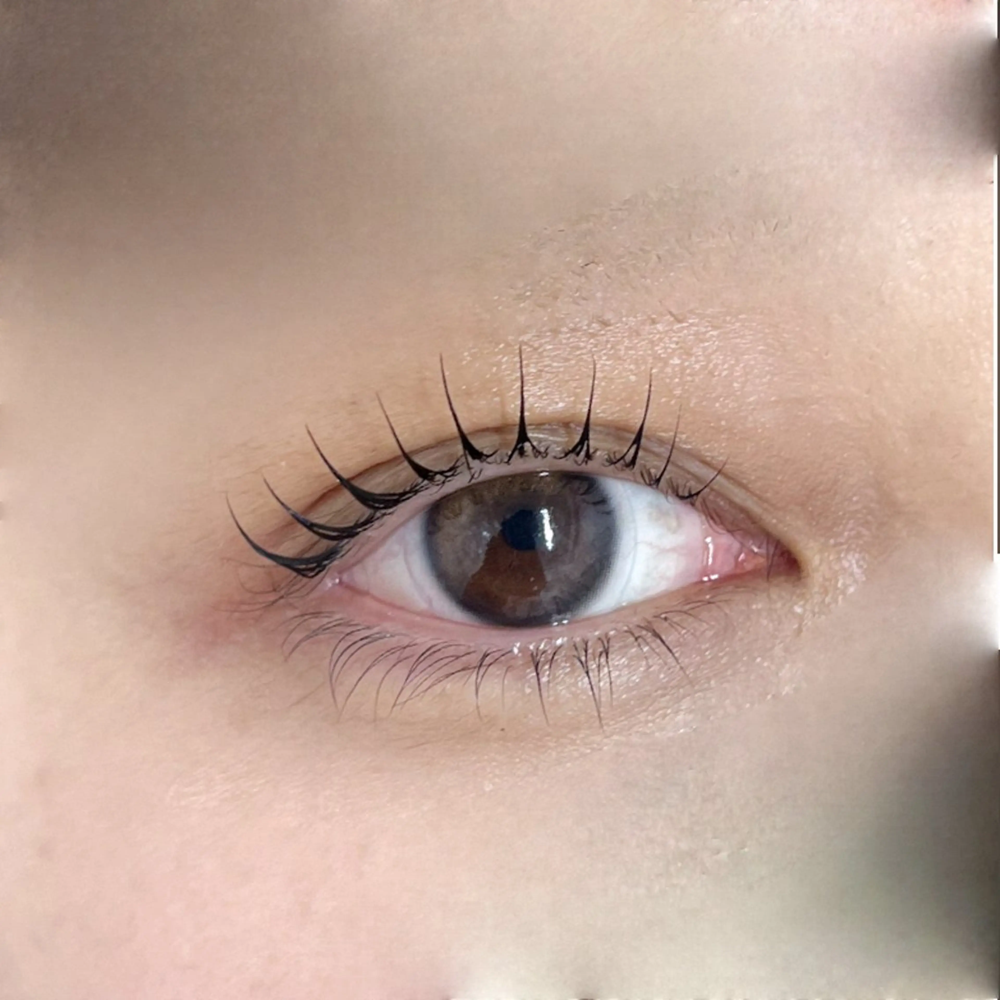 1番人気🇰🇷💕韓国束感まつげパーマ上のみ✨ビフォアフ写真ご協力の方限定✨の写真