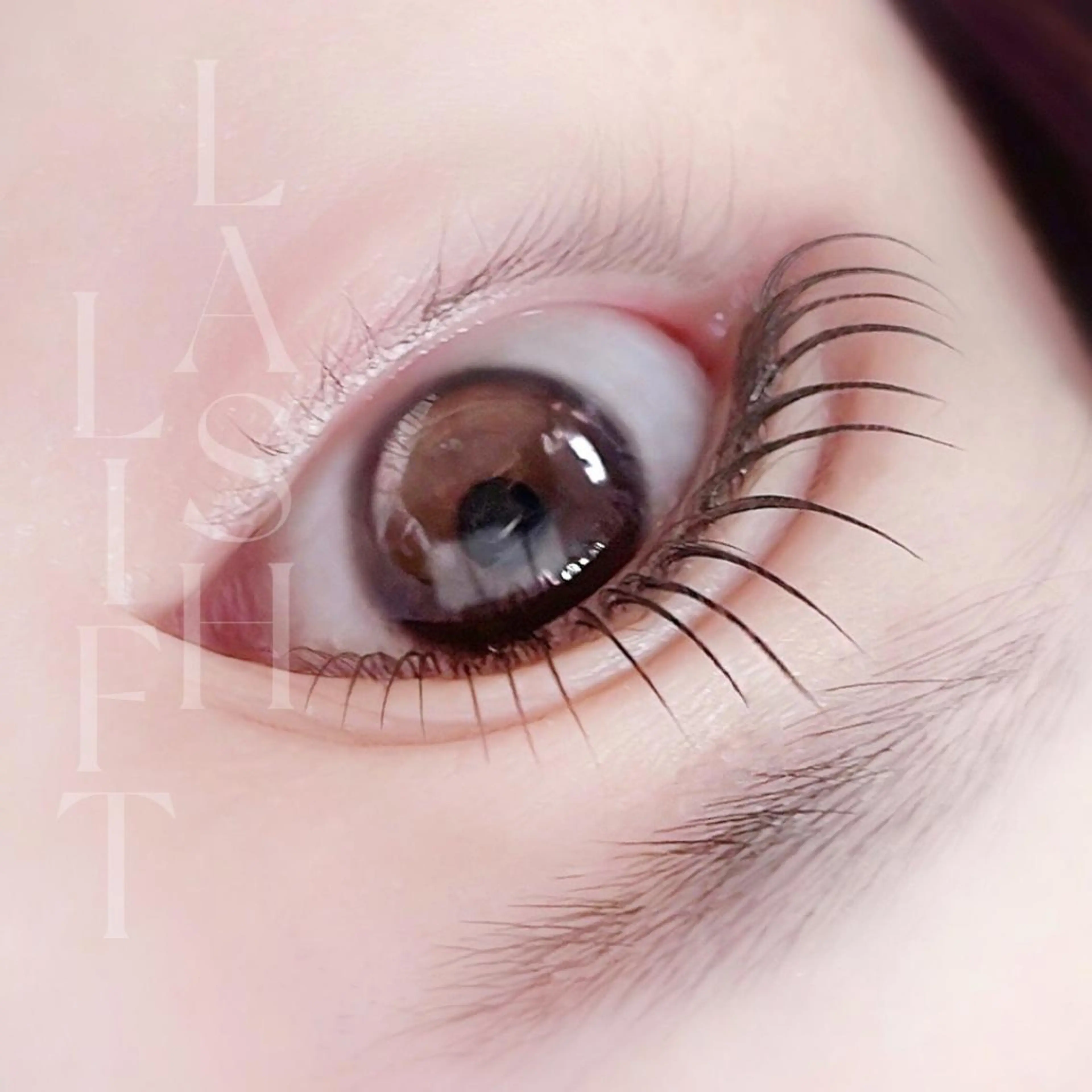 マツエク・マツパ マツパ Halte eyelashのマツエク・マツパデザイン