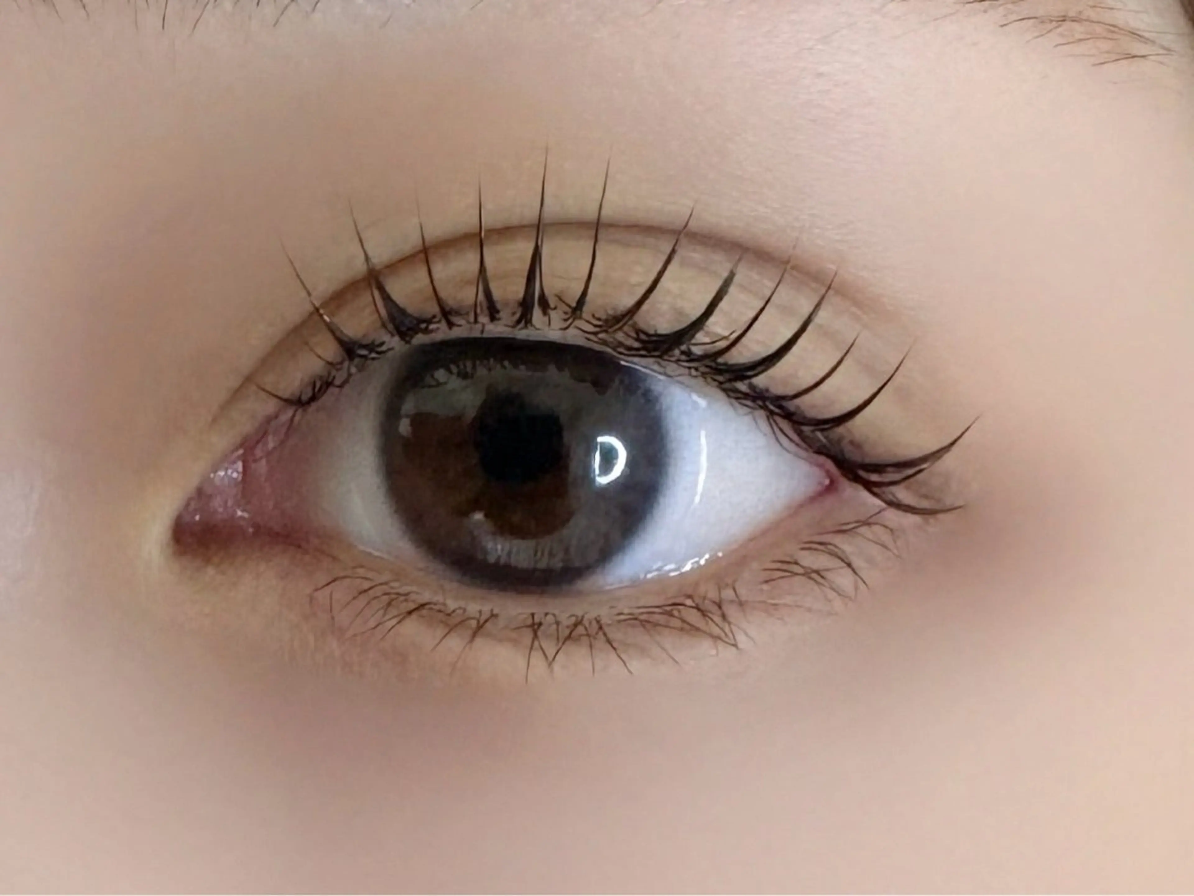 マツエク・マツパ マツパ La ferisia 川崎のマツエク・マツパデザイン