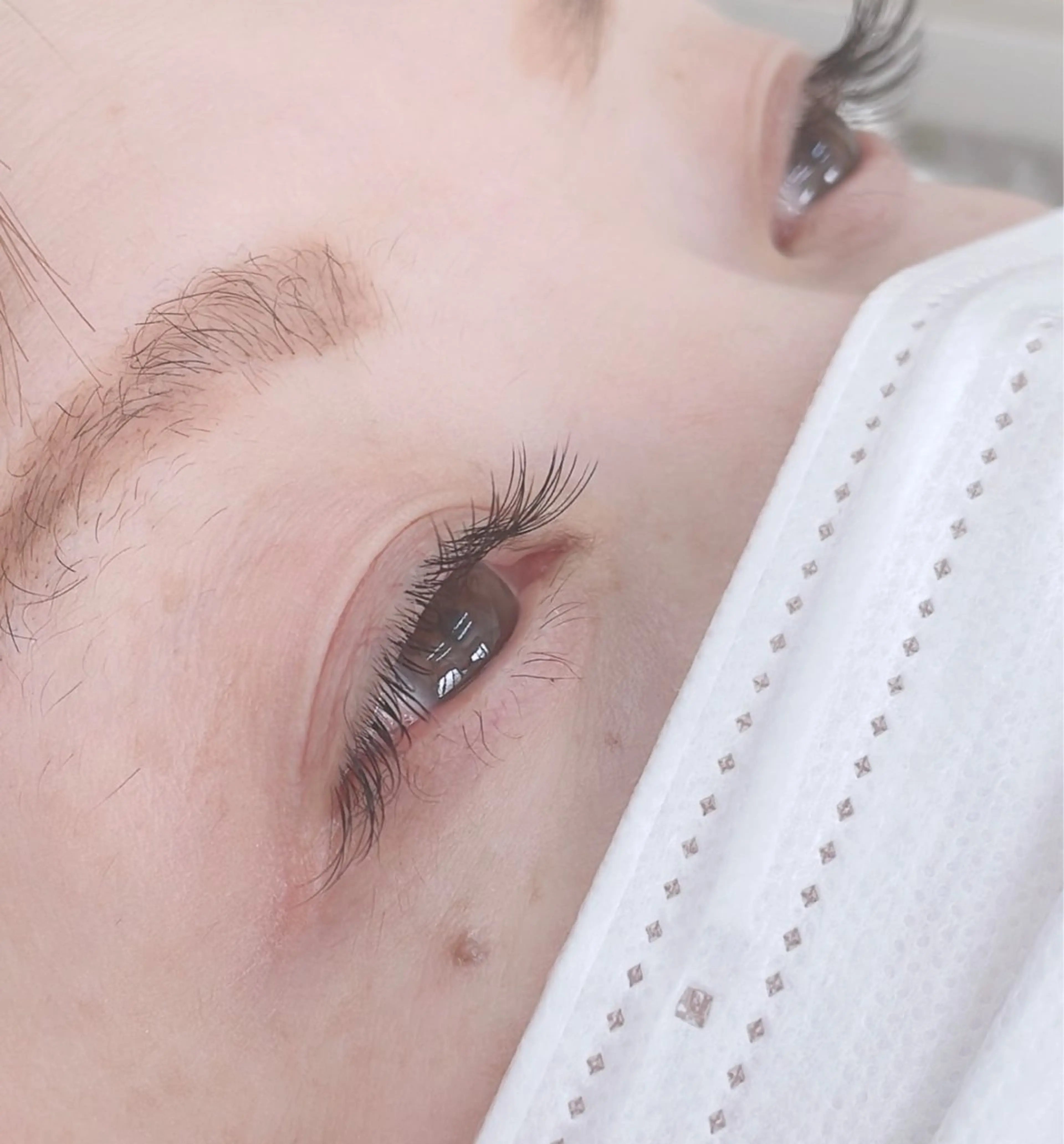 フラットラッシュ120本の写真