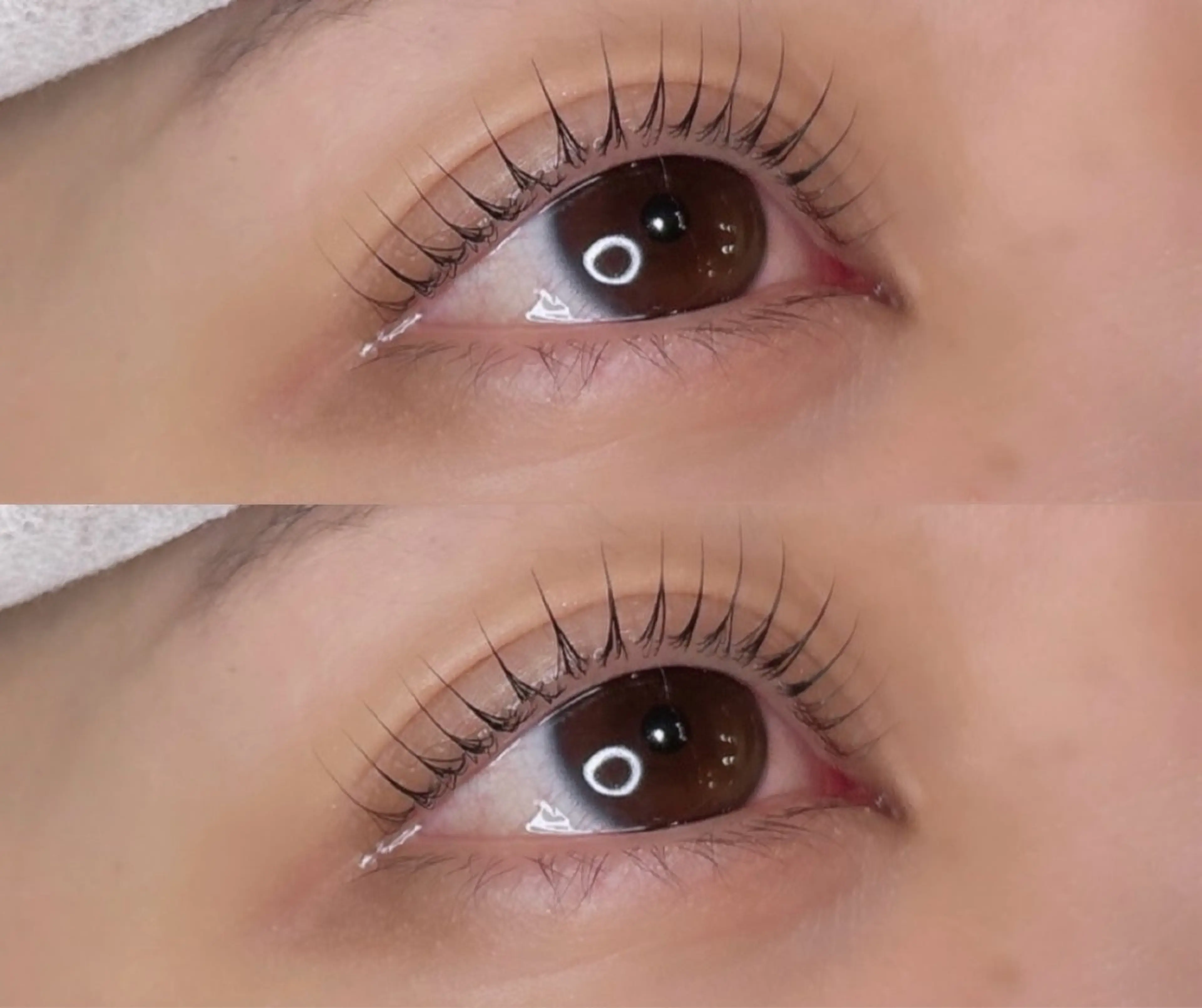 マツエク・マツパ DOLCE川越店✧︎ MAIのマツエク・マツパデザイン