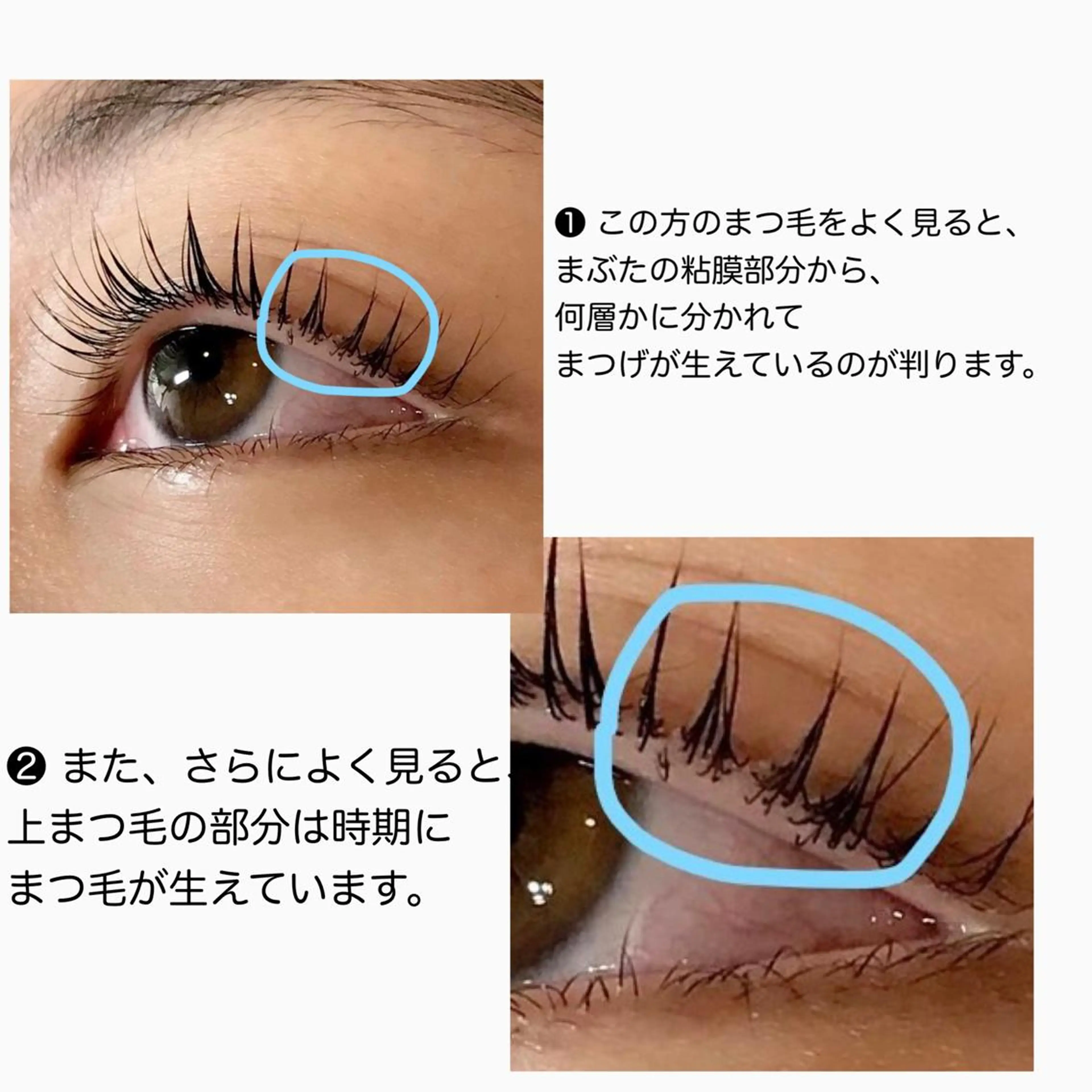 マツエク・マツパ バインドロック 一重×まつ毛パーマ アップワードラッシュ eyelash salonLoopꨄのマツエク・マツパデザイン
