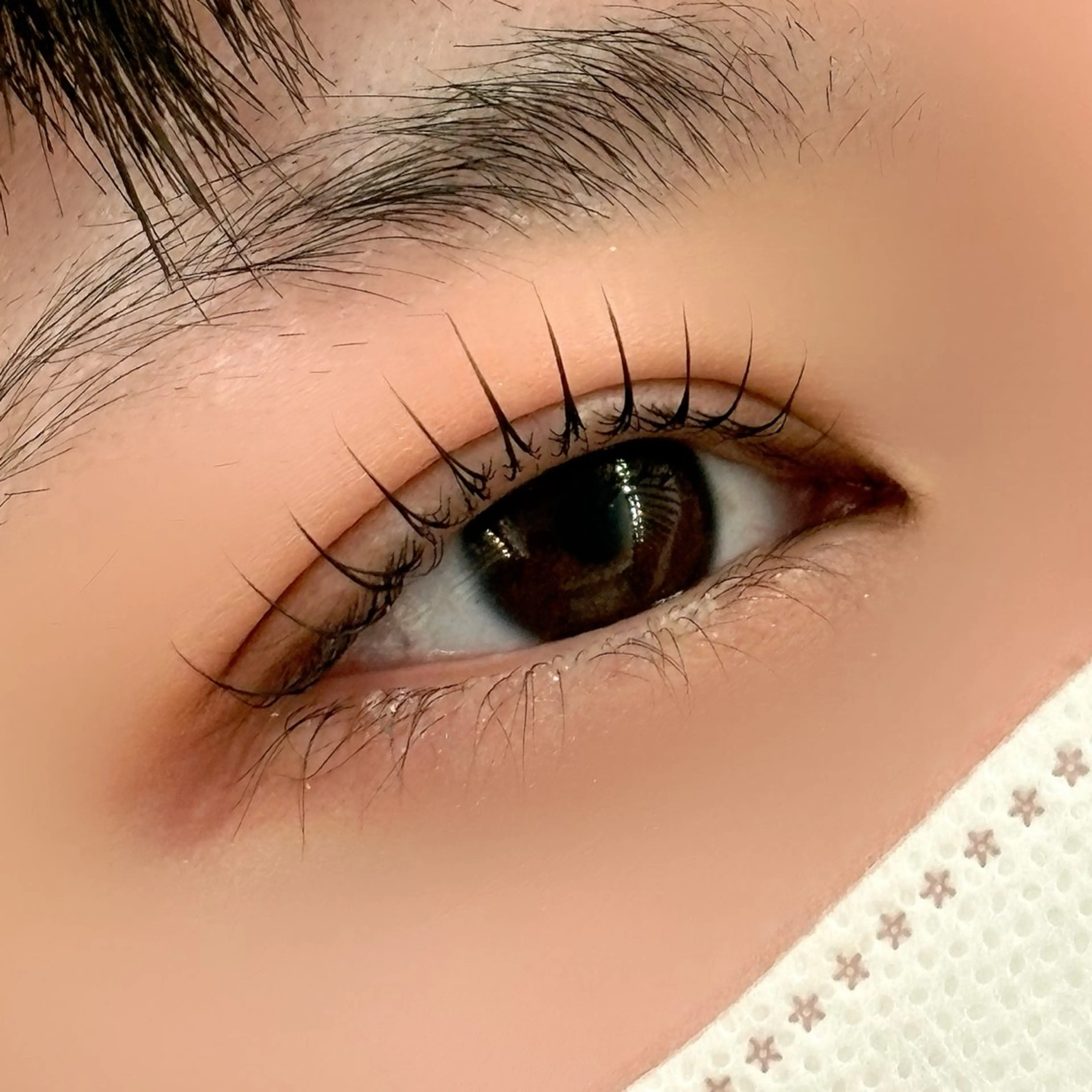 マツエク・マツパ マツパ MIKU アイリストのマツエク・マツパデザイン