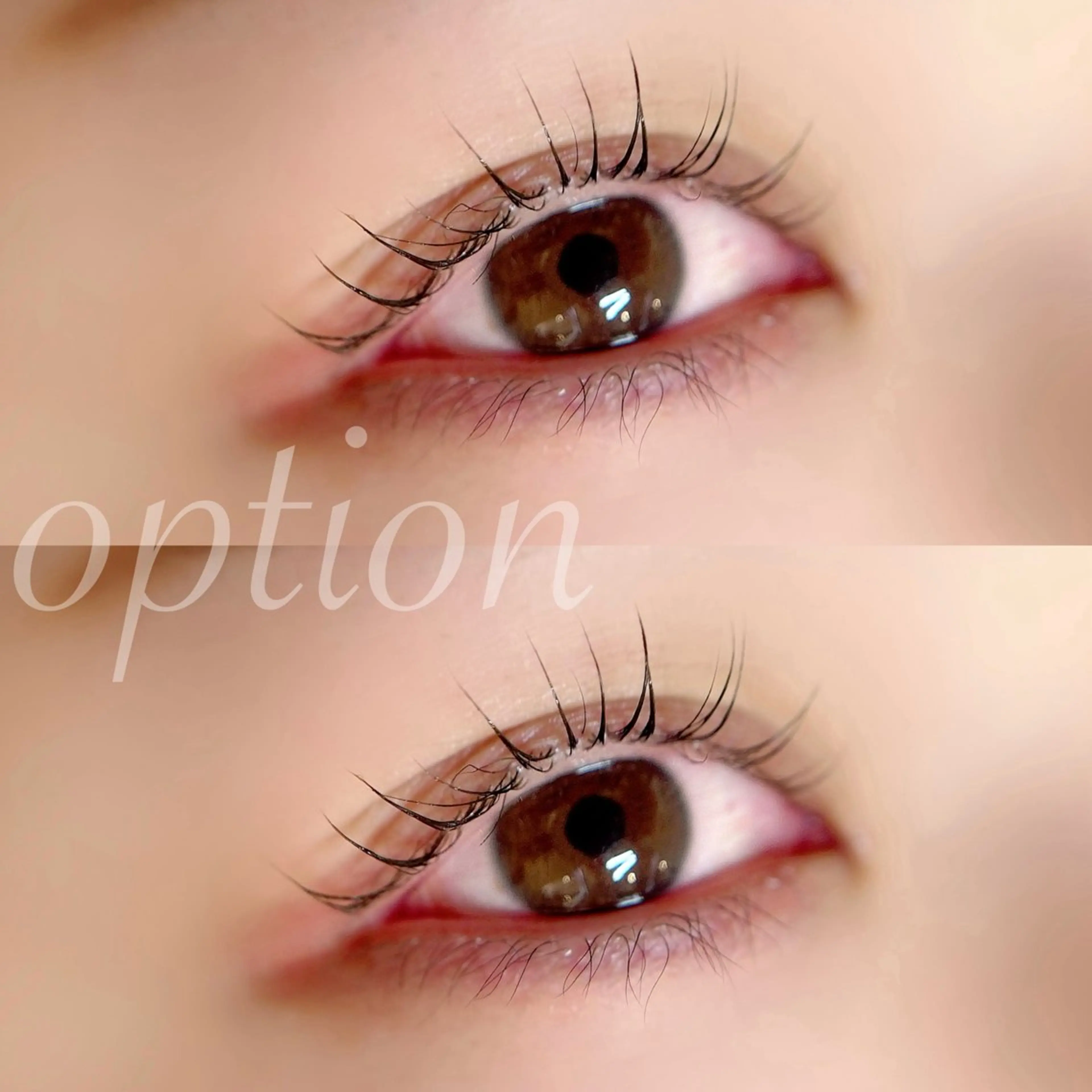 【平日限定クーポン】🇫🇷パリジェンヌラッシュリフト🇫🇷 （※似合わせ+¥400）の写真