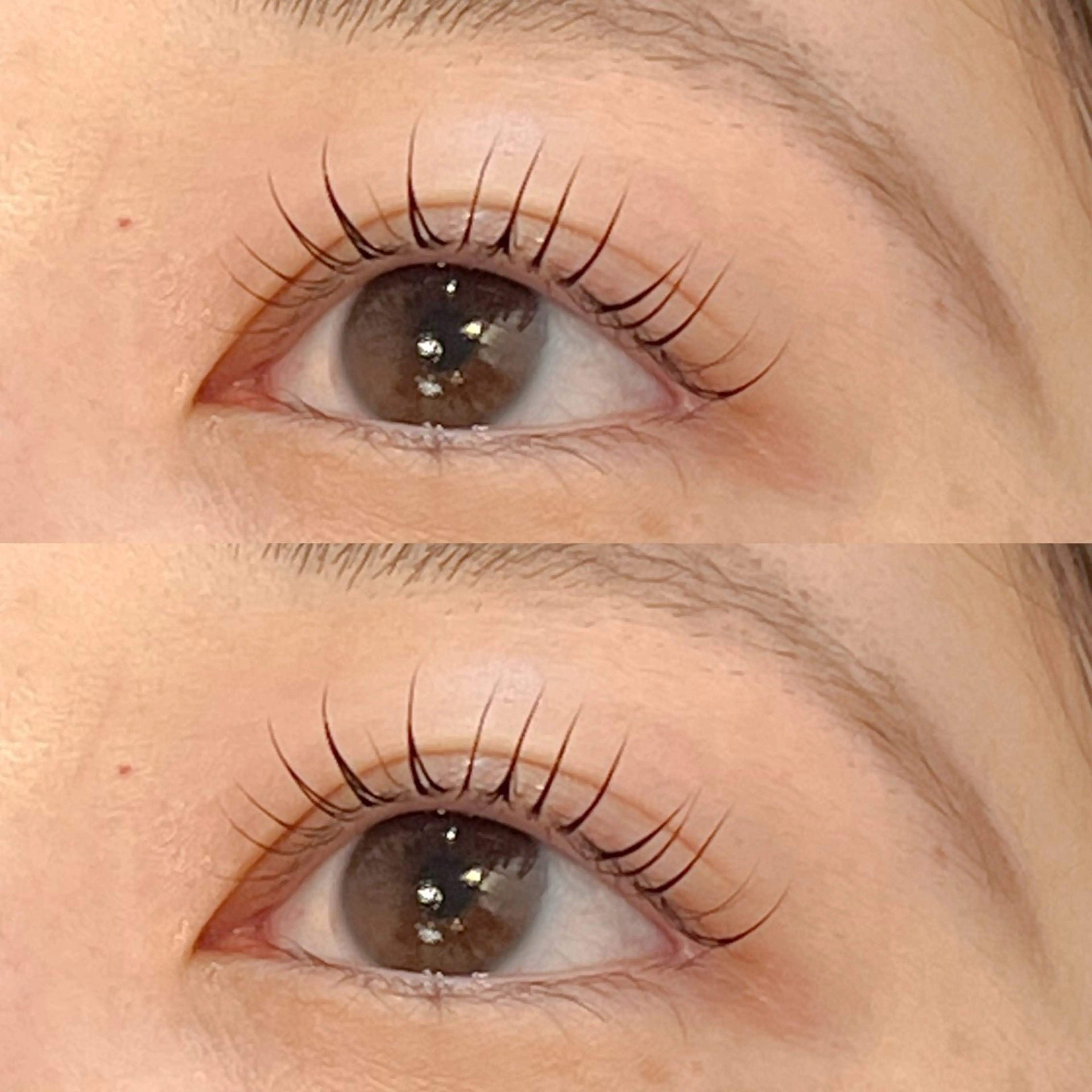 🦋まつげパーマ　（韓国ロッドもご用意あります🇰🇷）🦋の写真