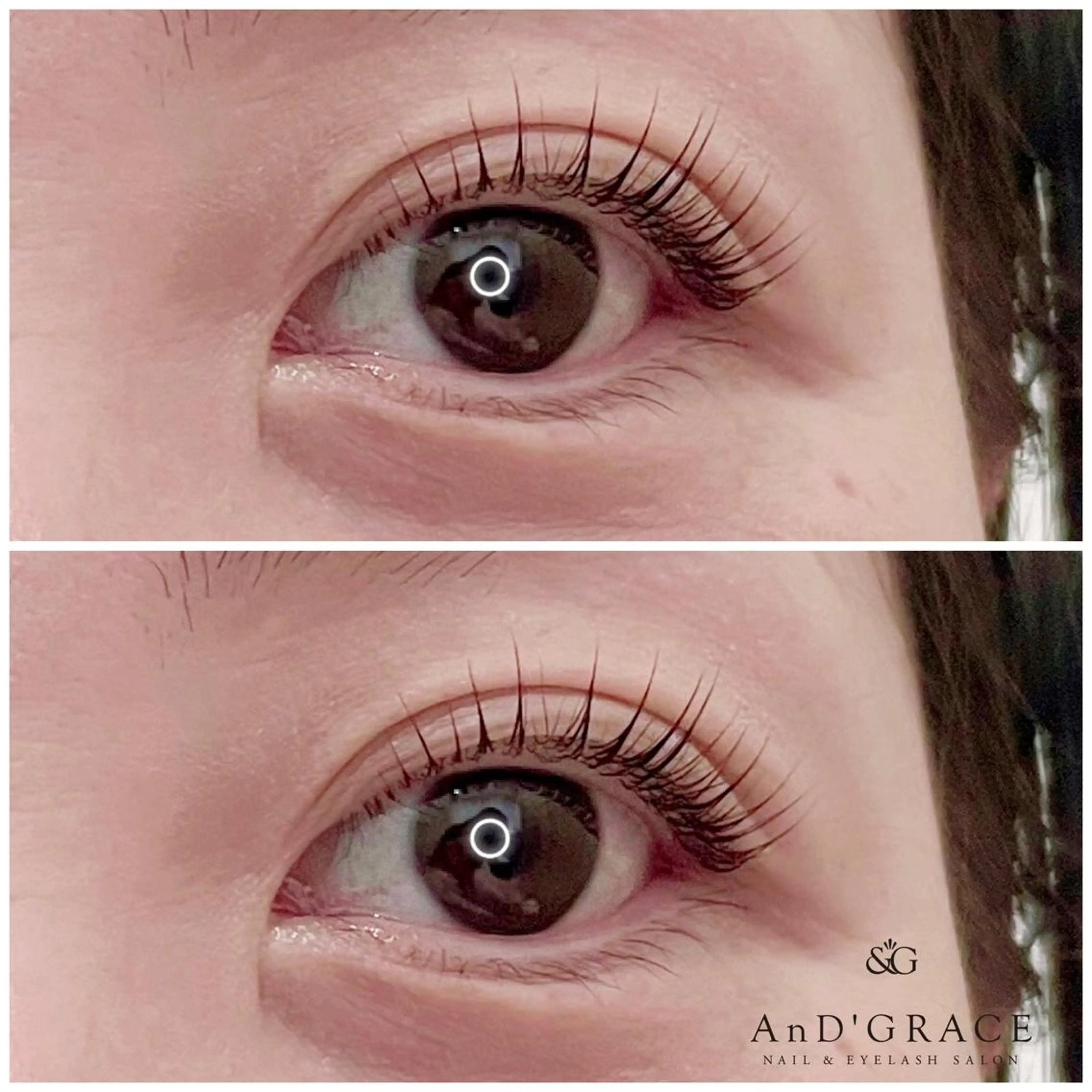 ✨期間限定✨まつげパーマ🤍60分🤍の写真