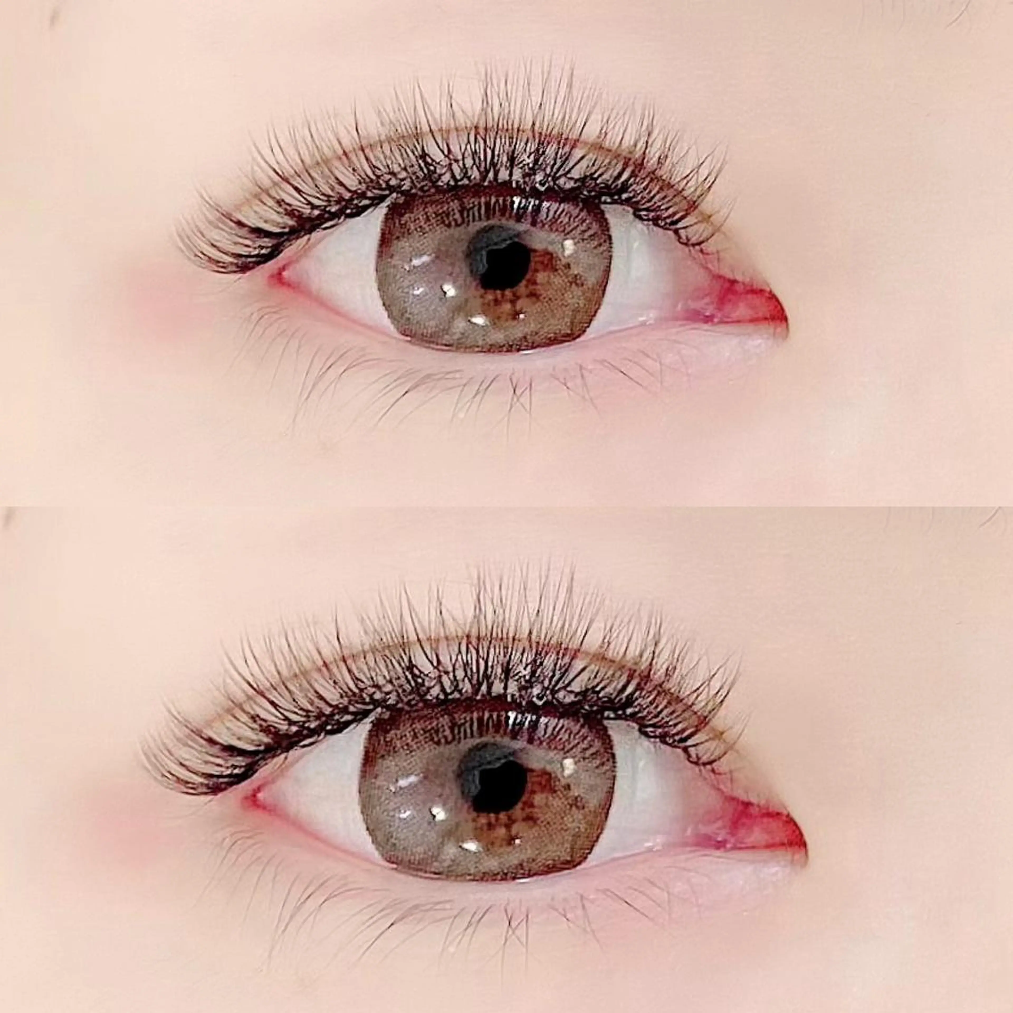 マツエク・マツパ Cカール キュート マツエク FASTLASH🌹 パリジェンヌのマツエク・マツパデザイン