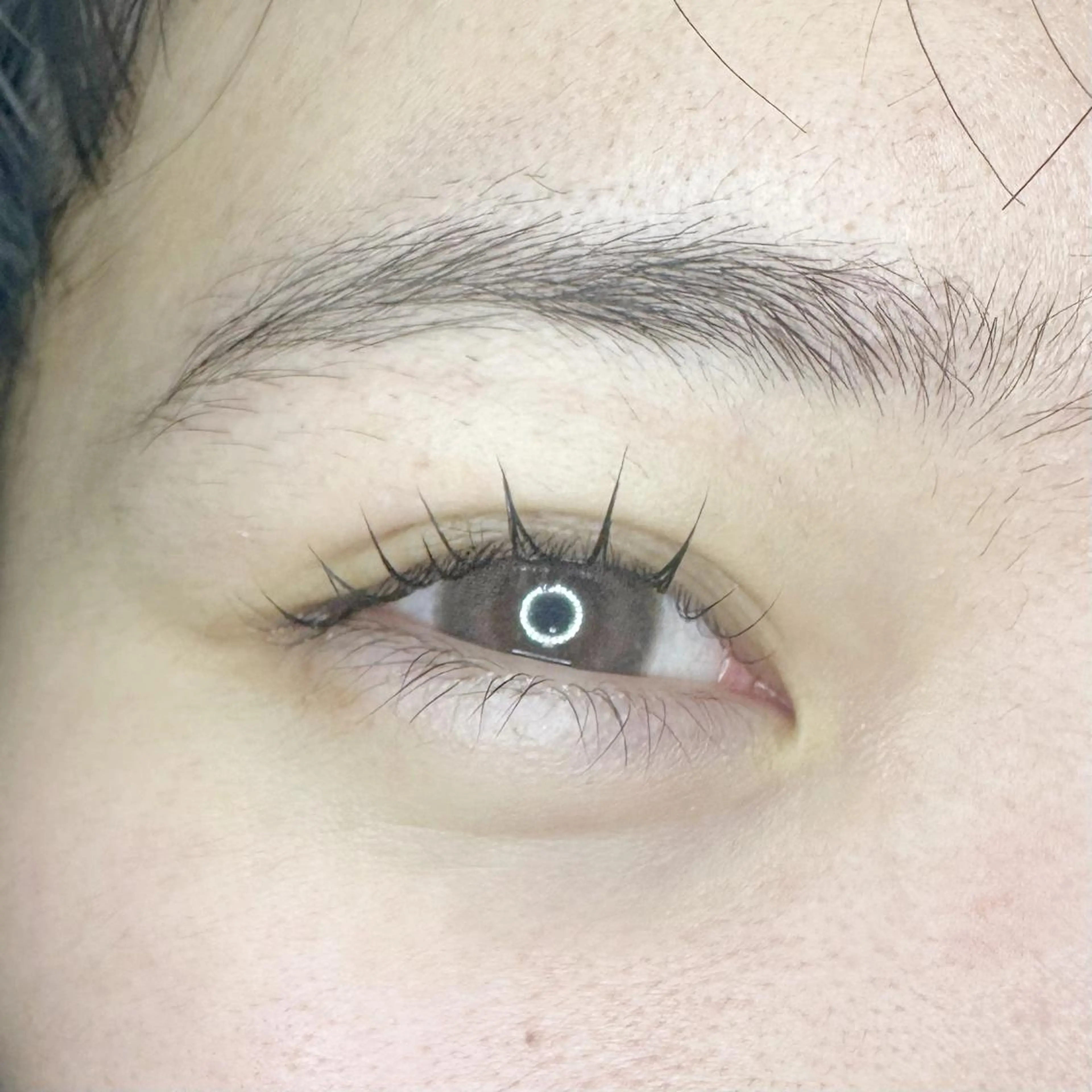 マツエク・マツパ 口コミ高評価⚡️ Wahf/そうたのマツエク・マツパデザイン