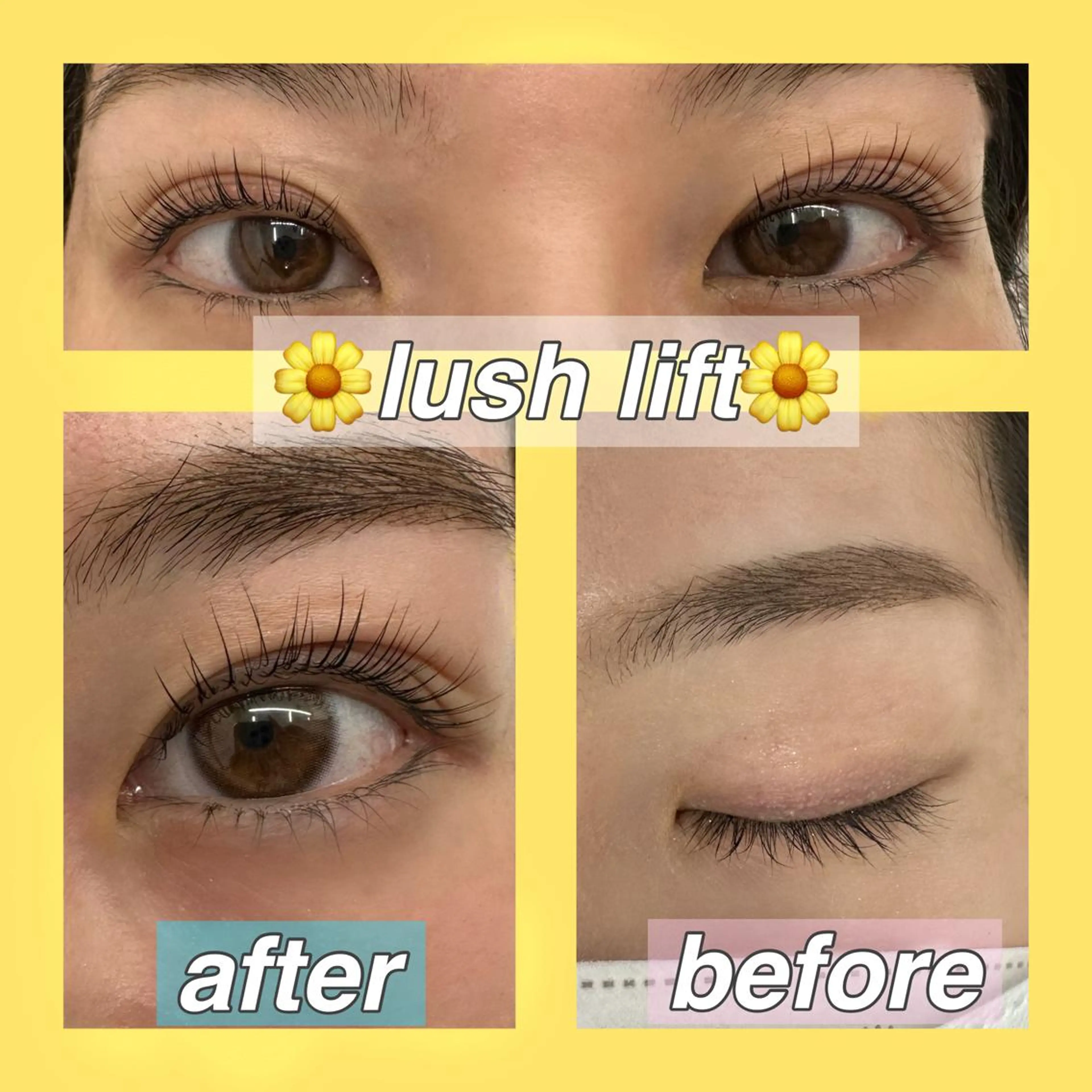 【定額料金】🤍次世代まつげパーマ パリジェンヌ🤍 6600→5480の写真