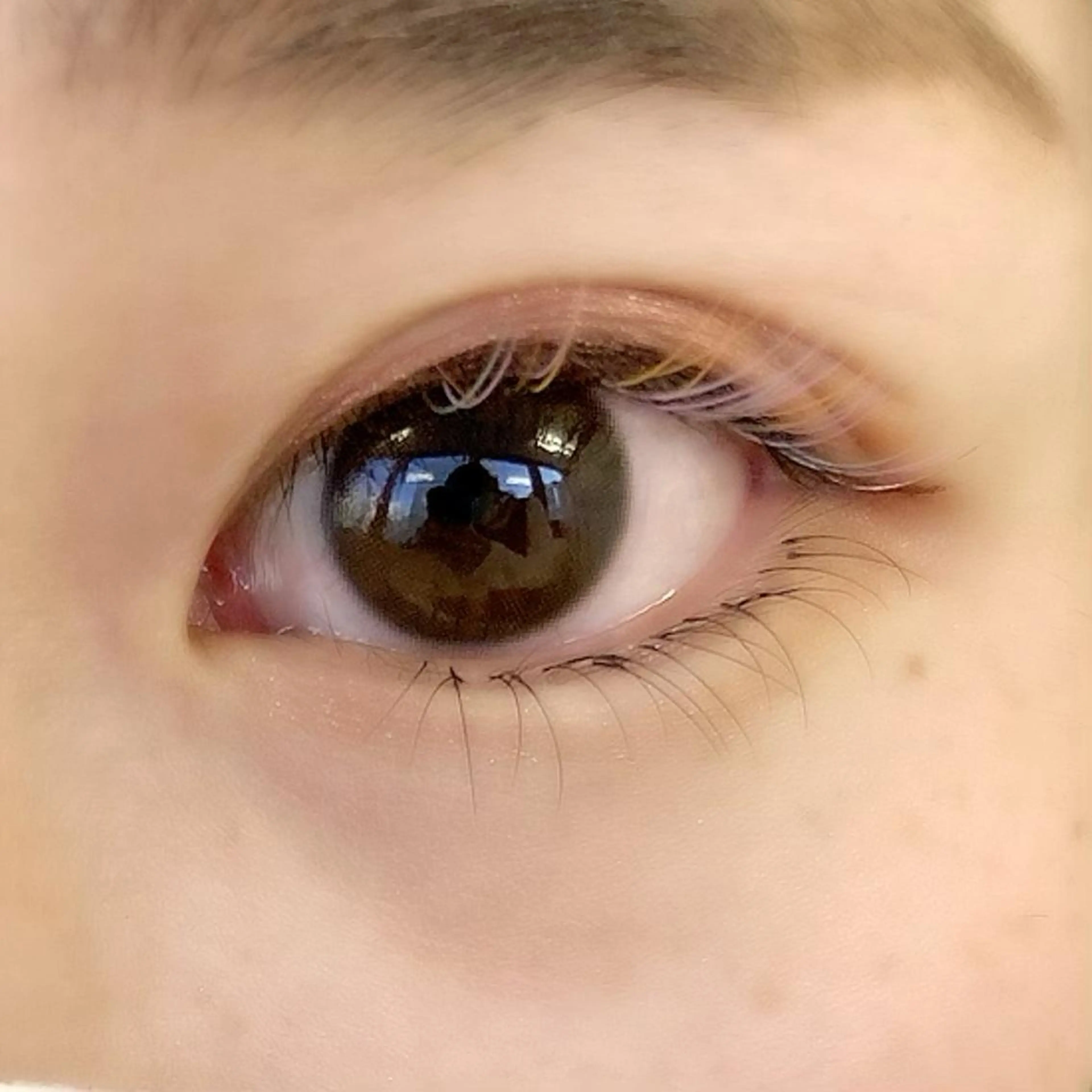 マツエク・マツパ 下まつげエクステ アイブロウワックス モデル募集の眉毛・アイブロウイメージ