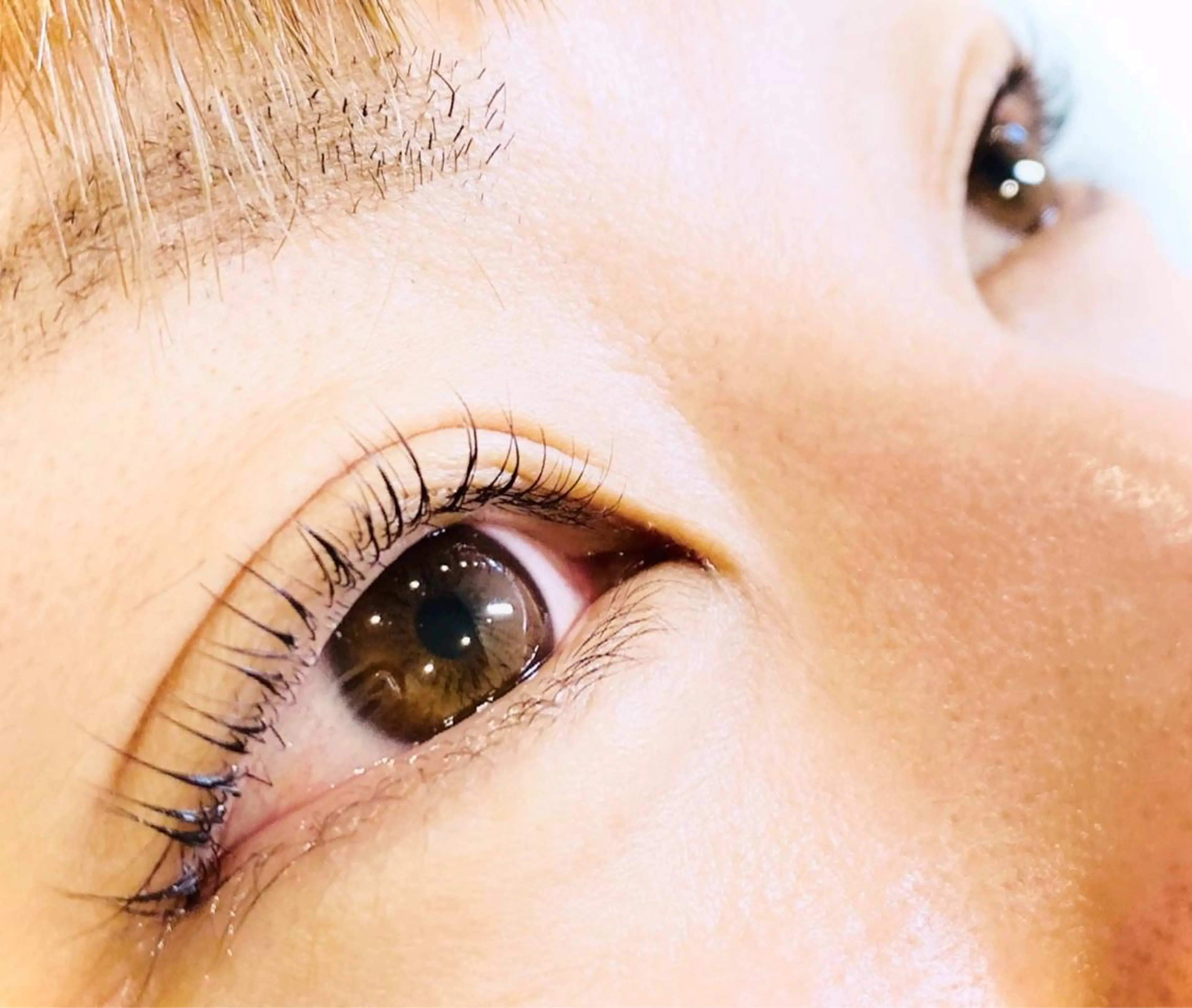 マツエク・マツパ Dolce eye lash ねごろのマツエク・マツパデザイン