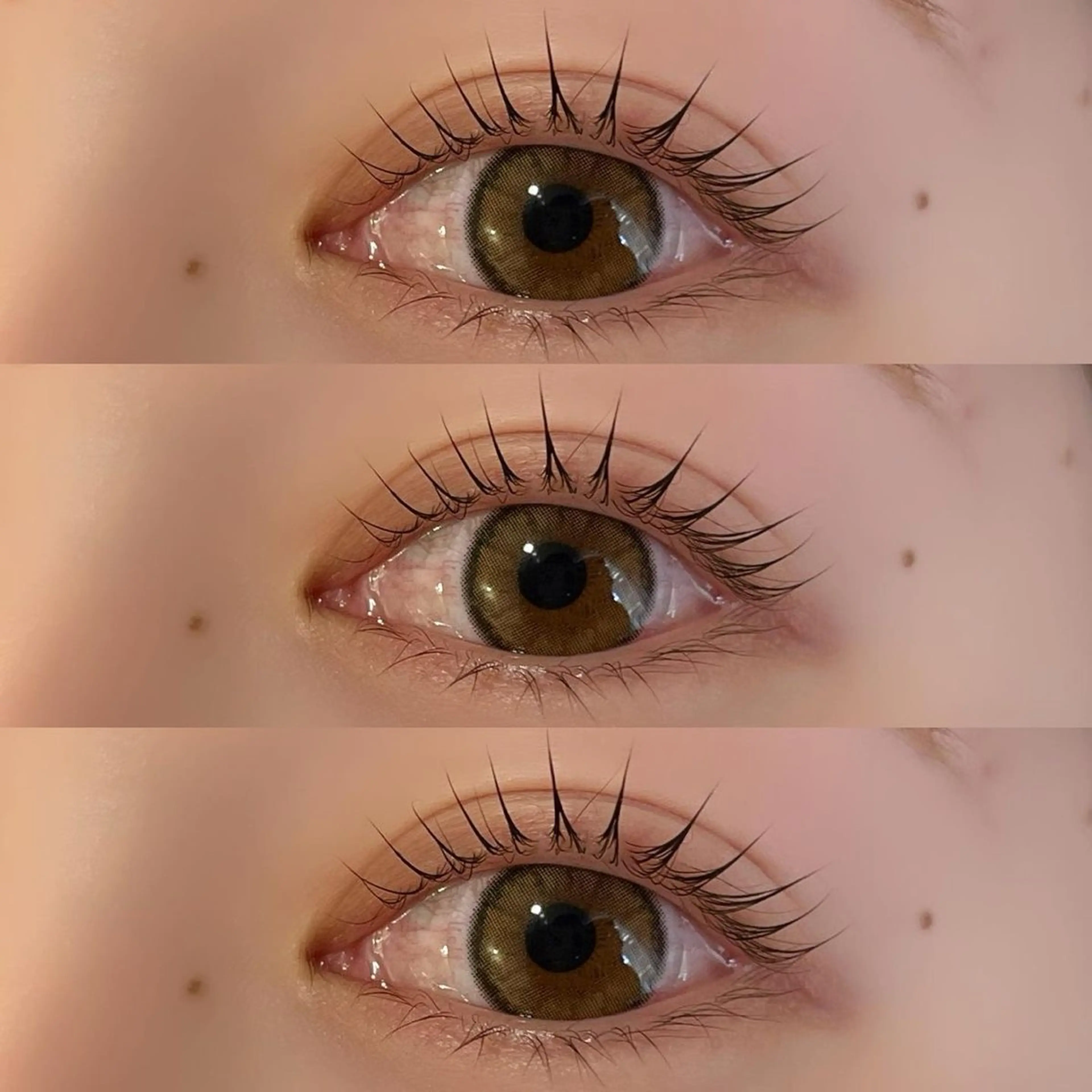 12月限定クーポン👀まつげパーマ 上の写真