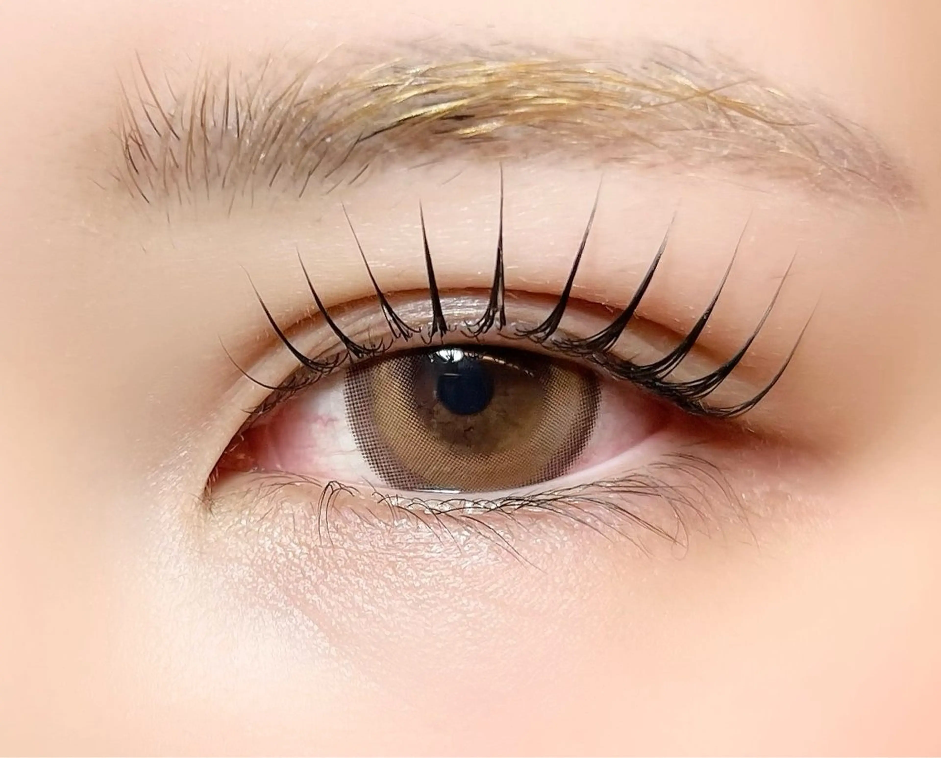 ãããšã¯ã»ããã sola: neoliveçç°ã®ãããšã¯ã»ããããã¶ã€ã³