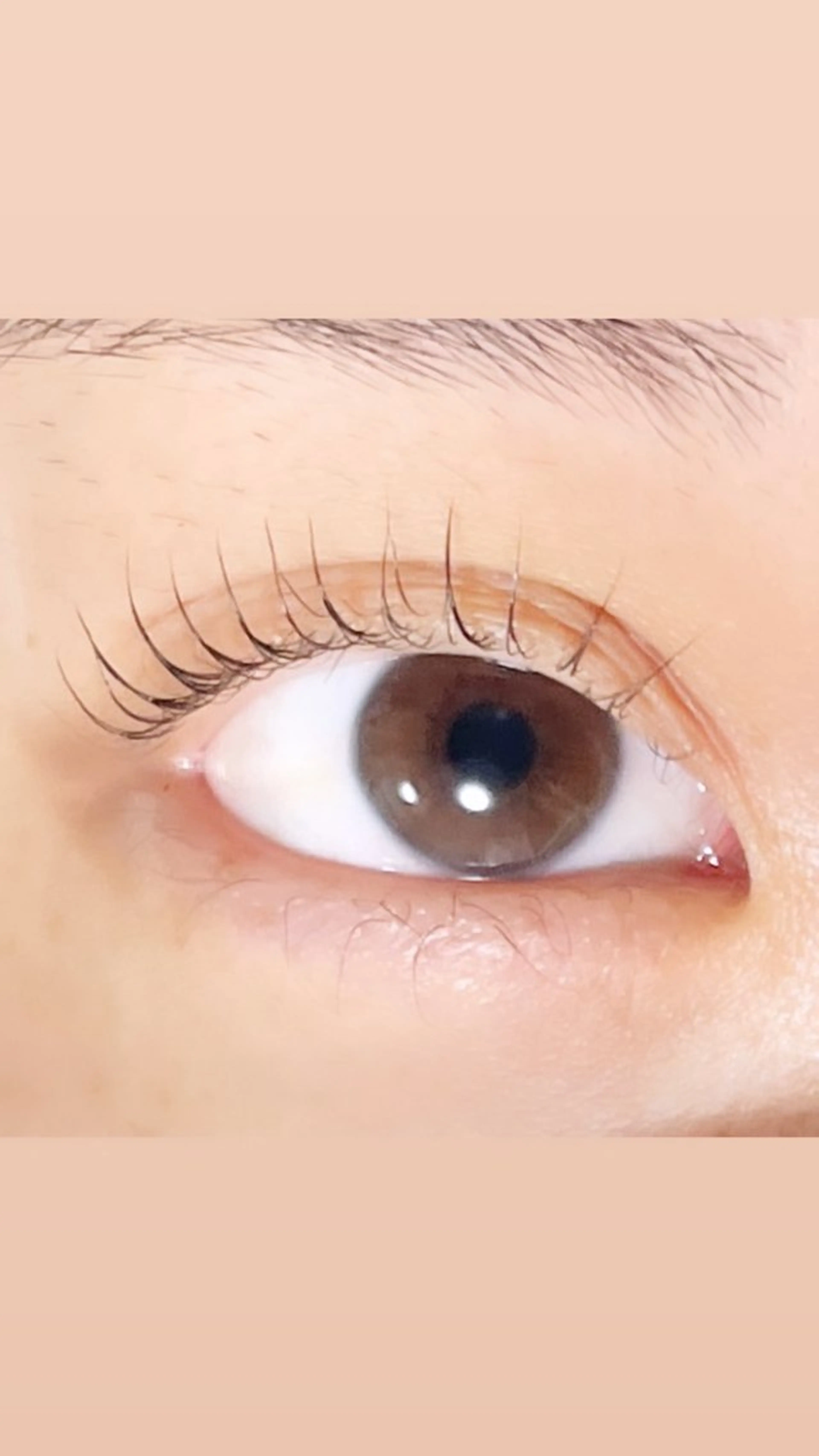 マツエク・マツパ TAKEO🖤 マリーテレジア藤が丘のマツエク・マツパデザイン