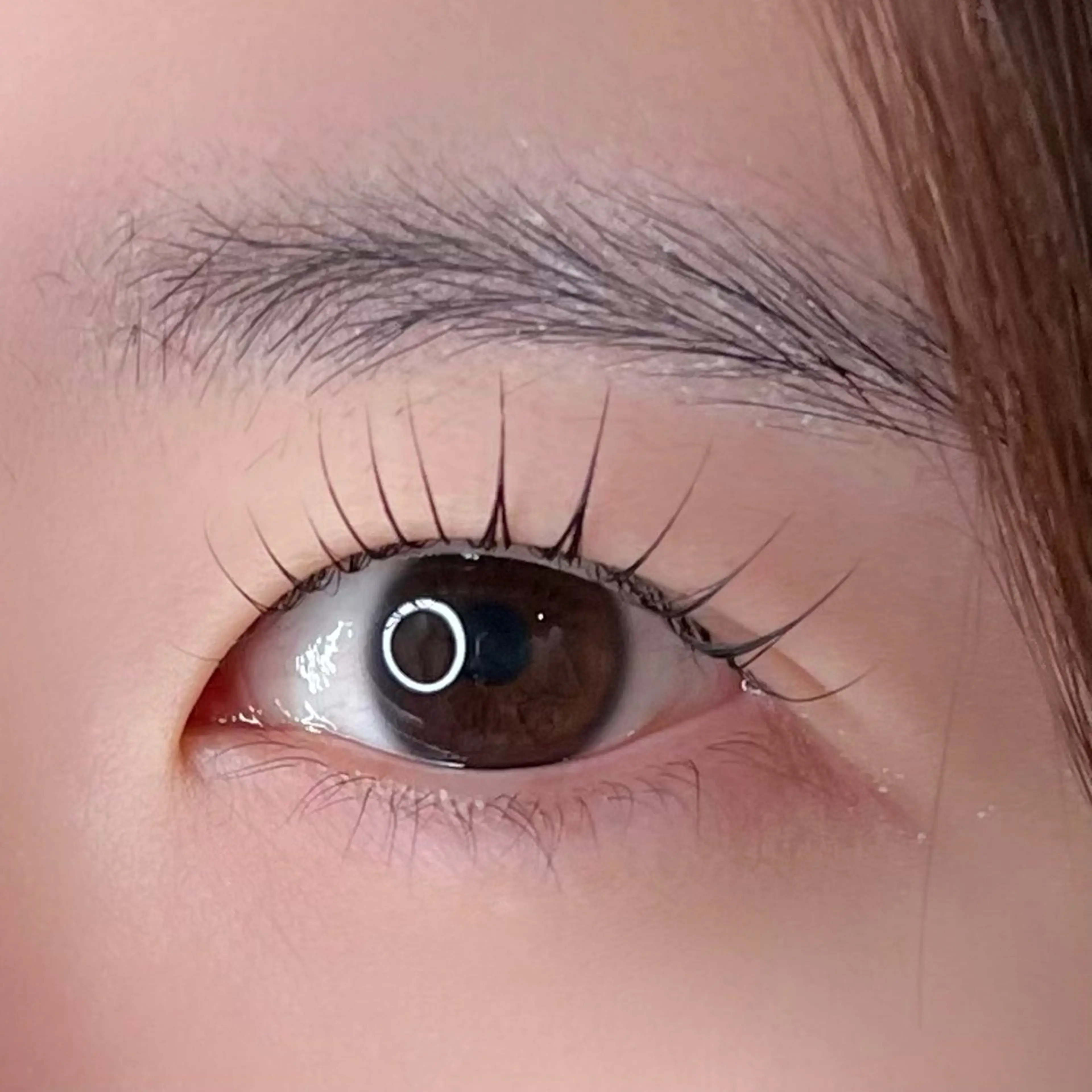 マツエク・マツパ パリジェンヌラッシュリフト まつげパーマ マツパ 🩵HARUHI 京都Two🩵のマツエク・マツパデザイン