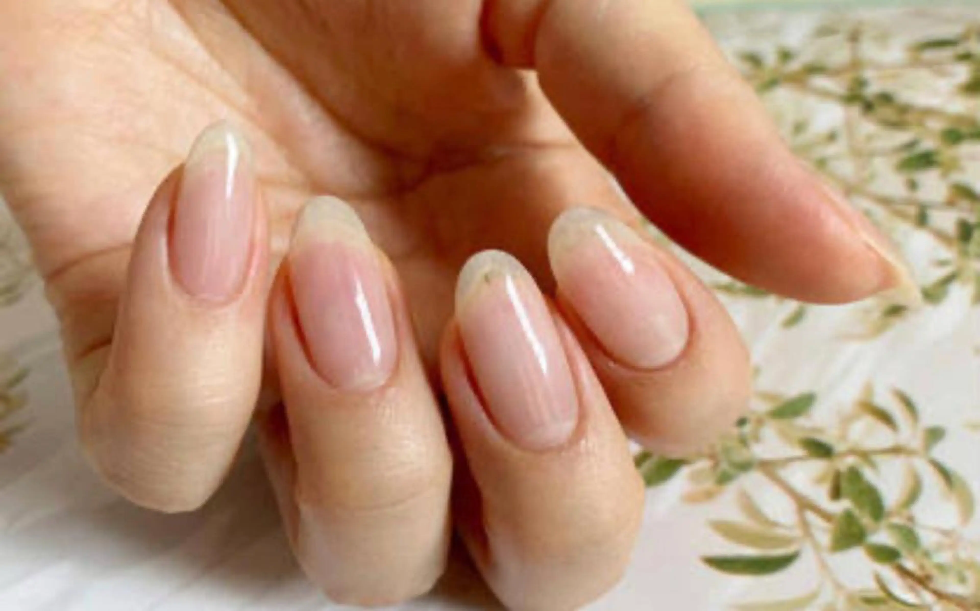 【オフ込み/HAND/クリアジェル】補強や普段お色を塗ることができないお客様に🌸の写真