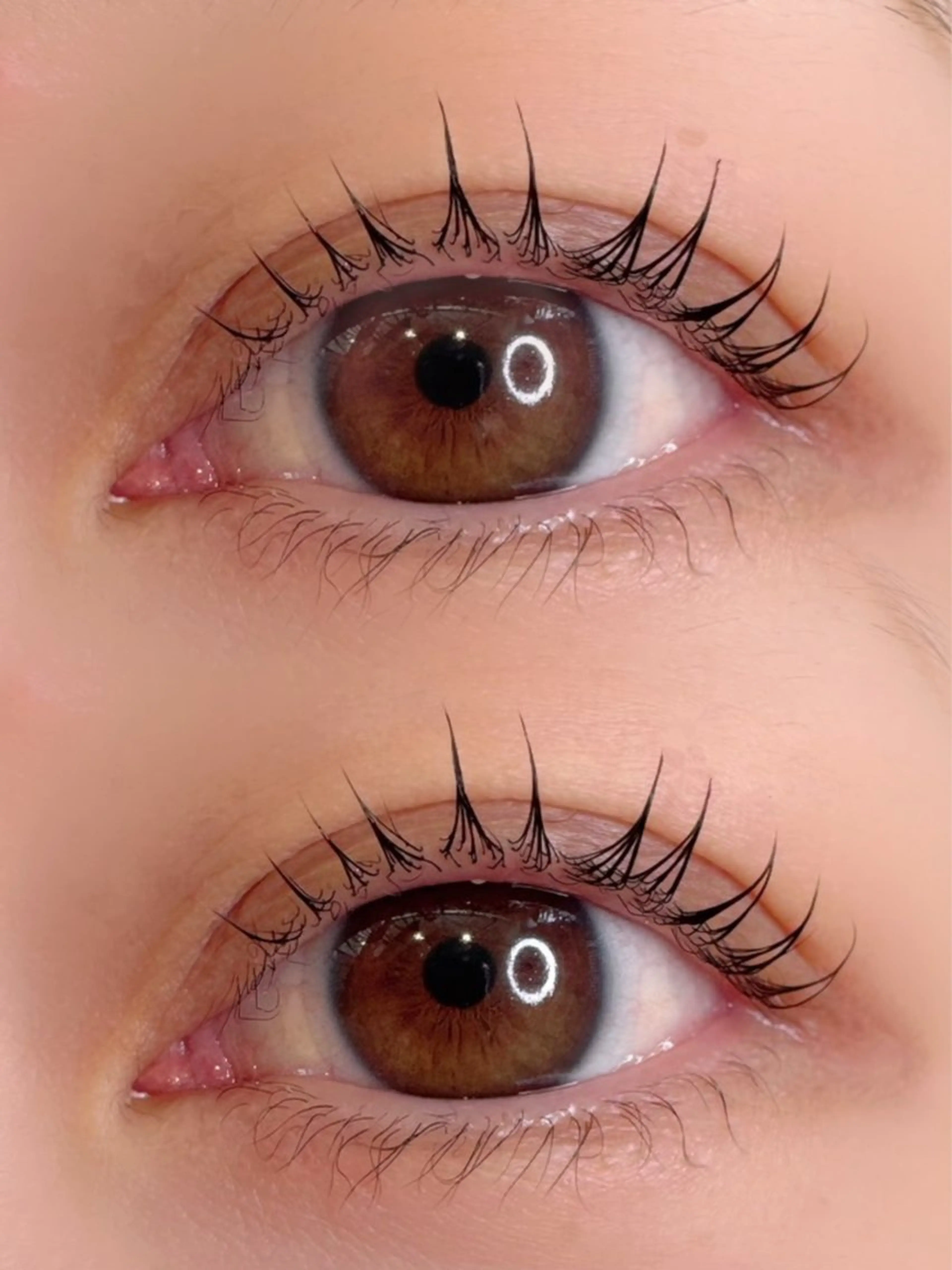 【期間限定】まつ毛パーマ/コーティング付き　※SNS掲載可能な方の写真