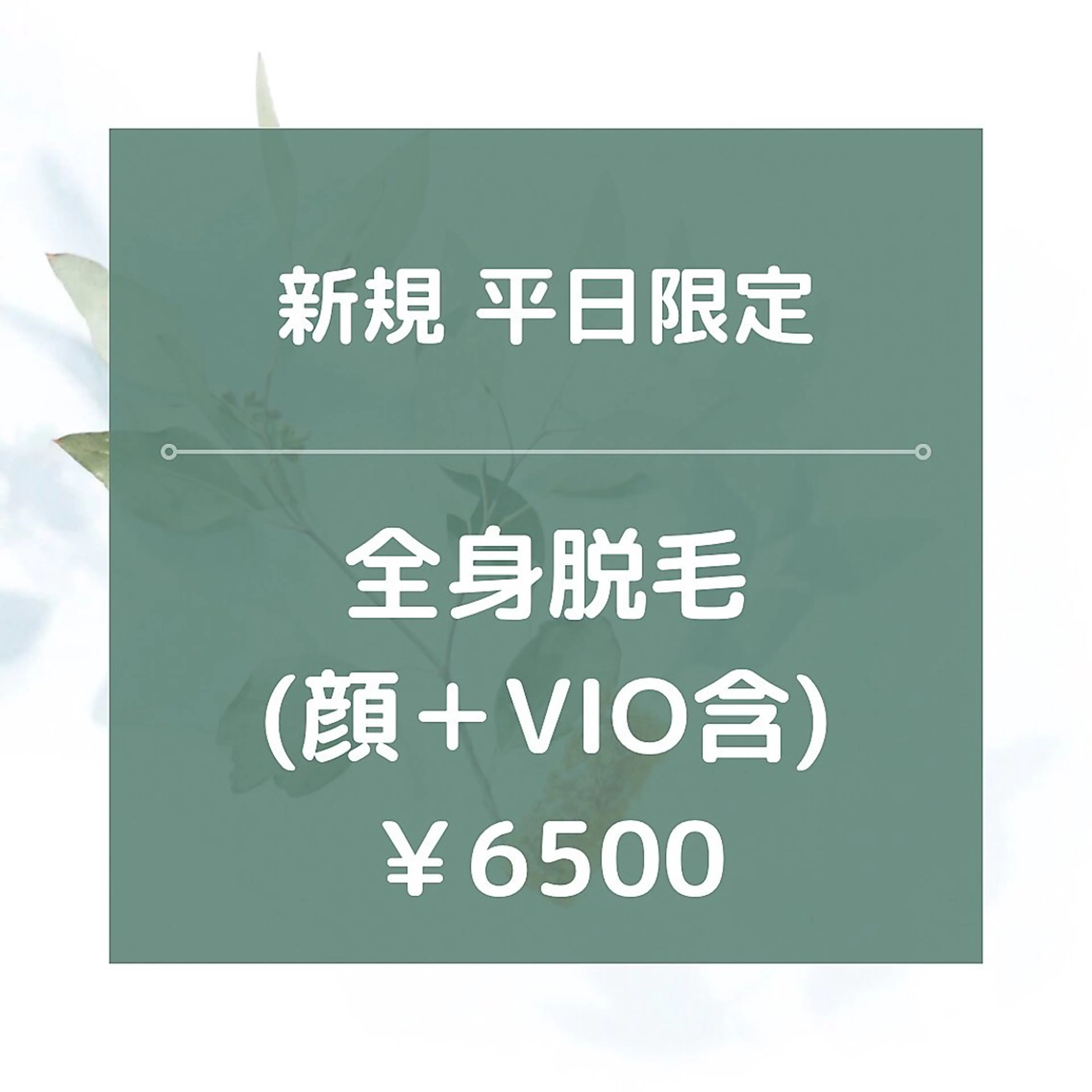 平日限定【新規】★☆全身脱毛(全顔＋VIO含)/¥6500☆★90分の写真