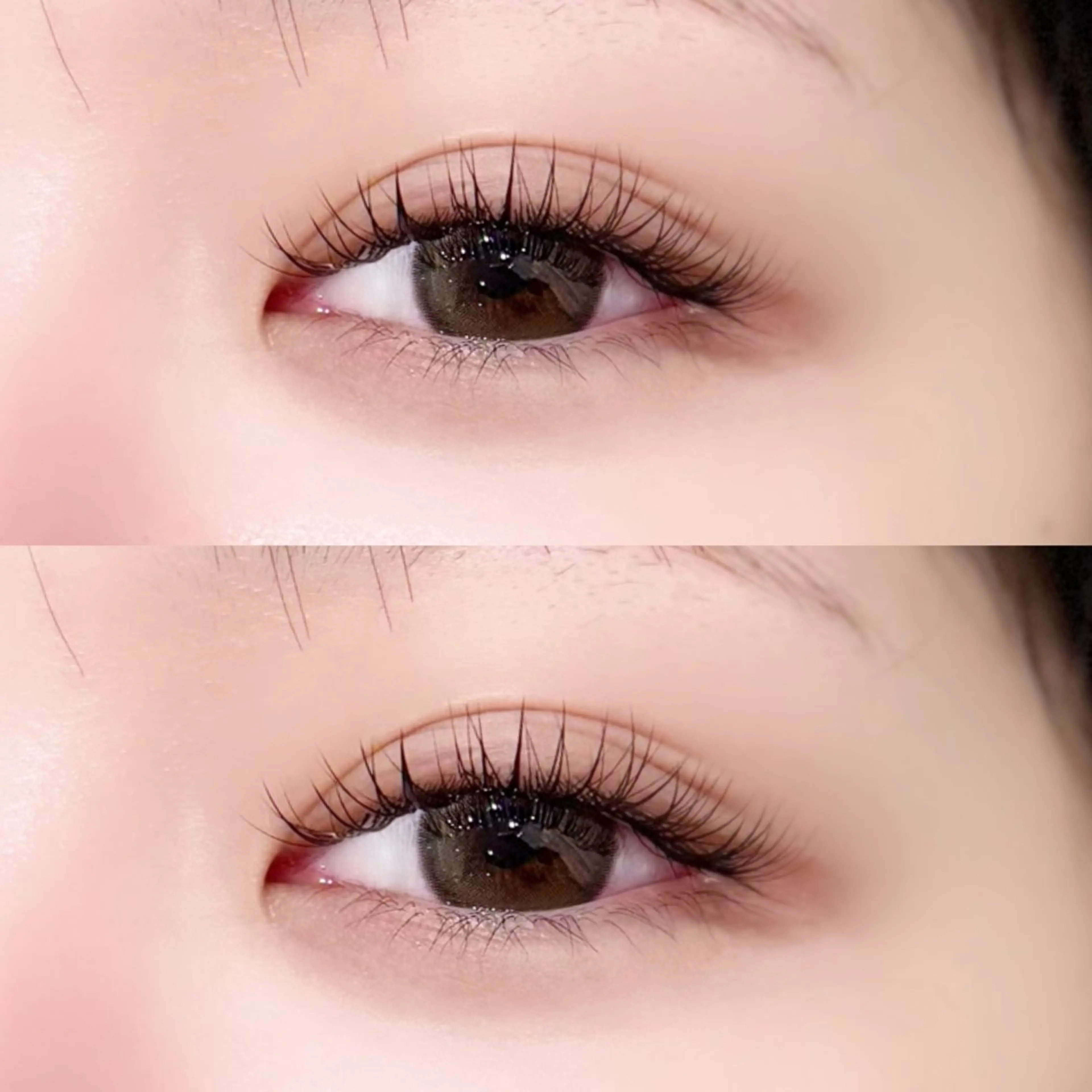 【新規限定】ボリュームラッシュ 300本(詳細確認必須)の写真