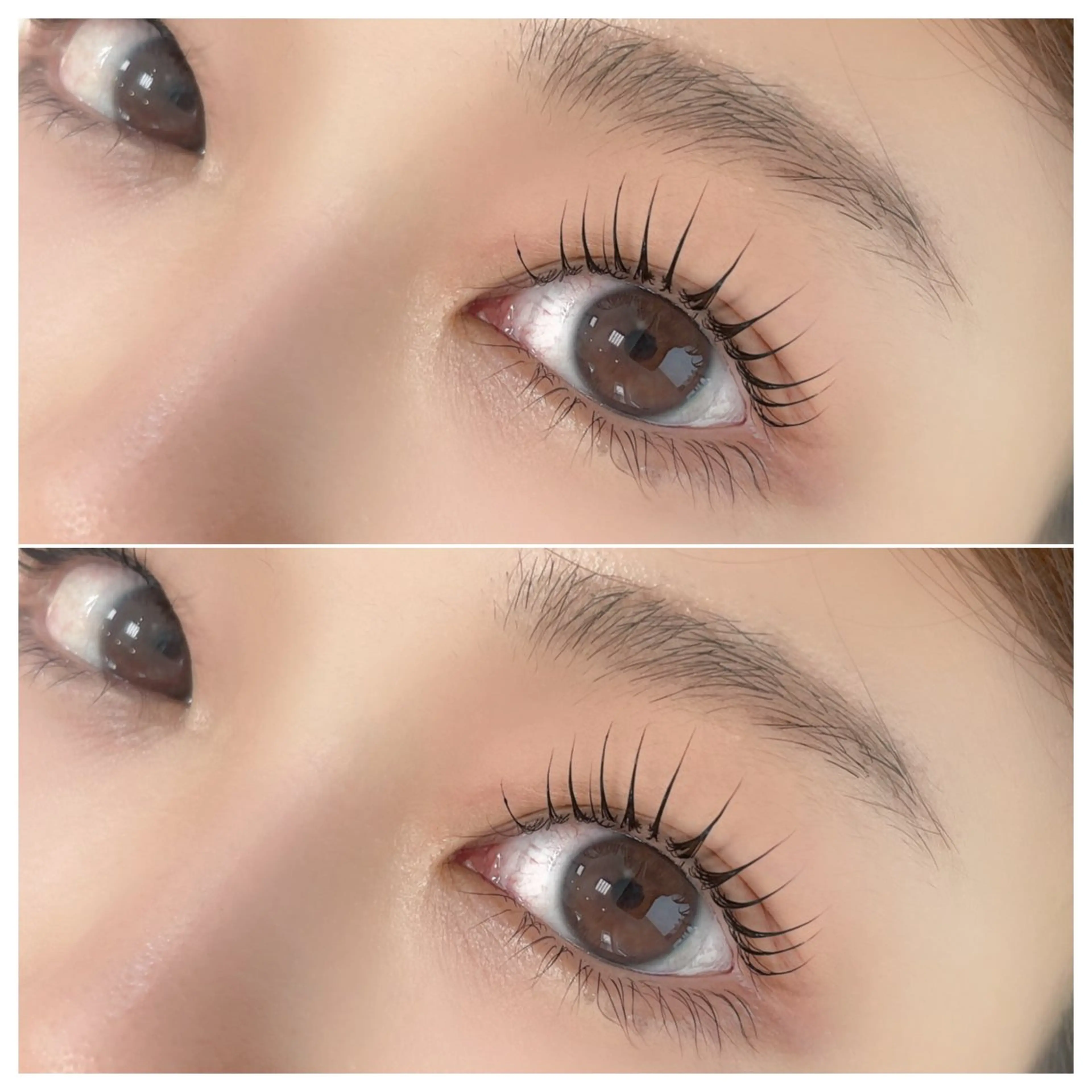 ラッシュリフト＋アイブロウワックスの写真