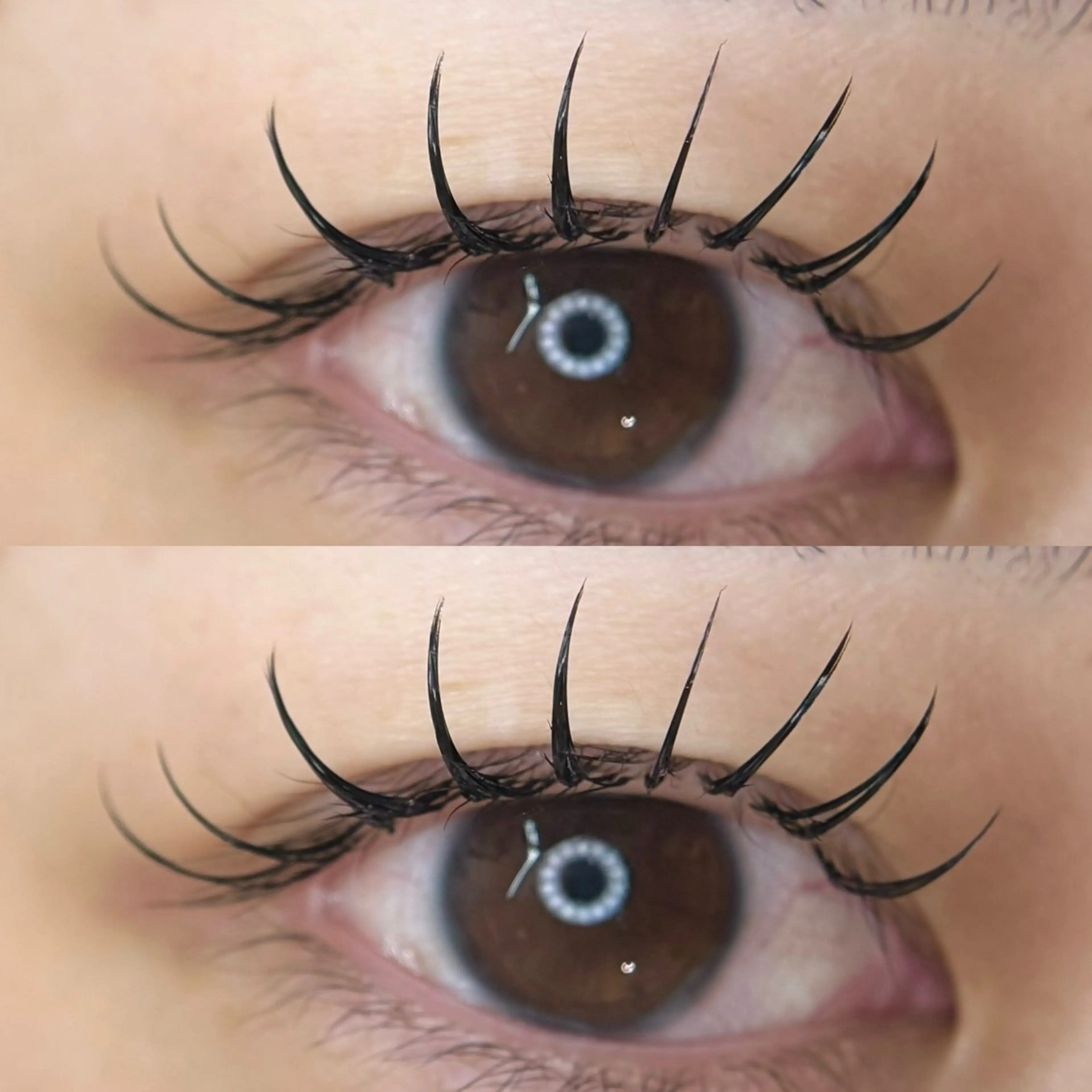 🐰LEDフラットラッシュ140本【¥9,060→¥4,460】の写真